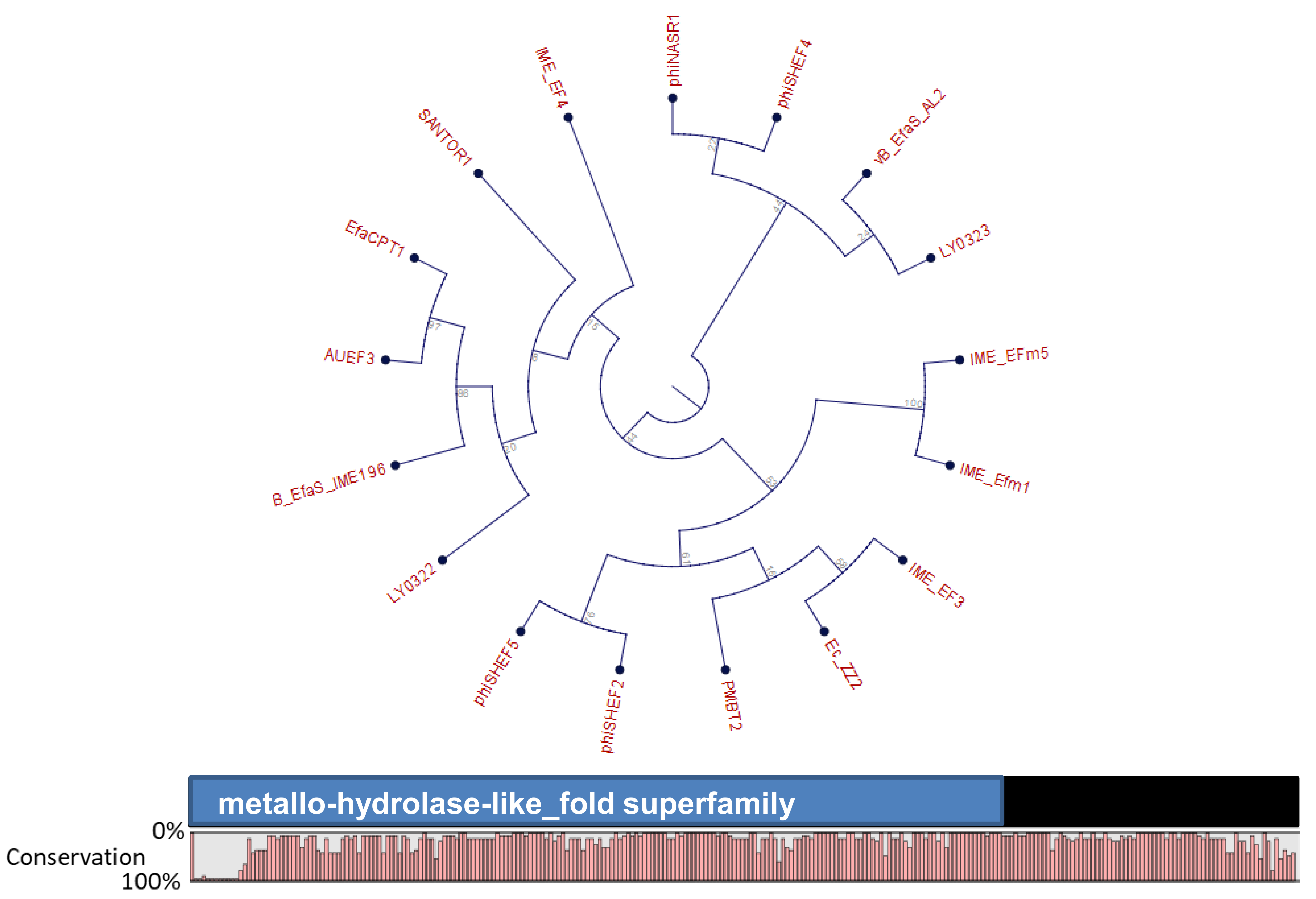 Viruses 11 00366 g002 Viruses 11 00366 g002