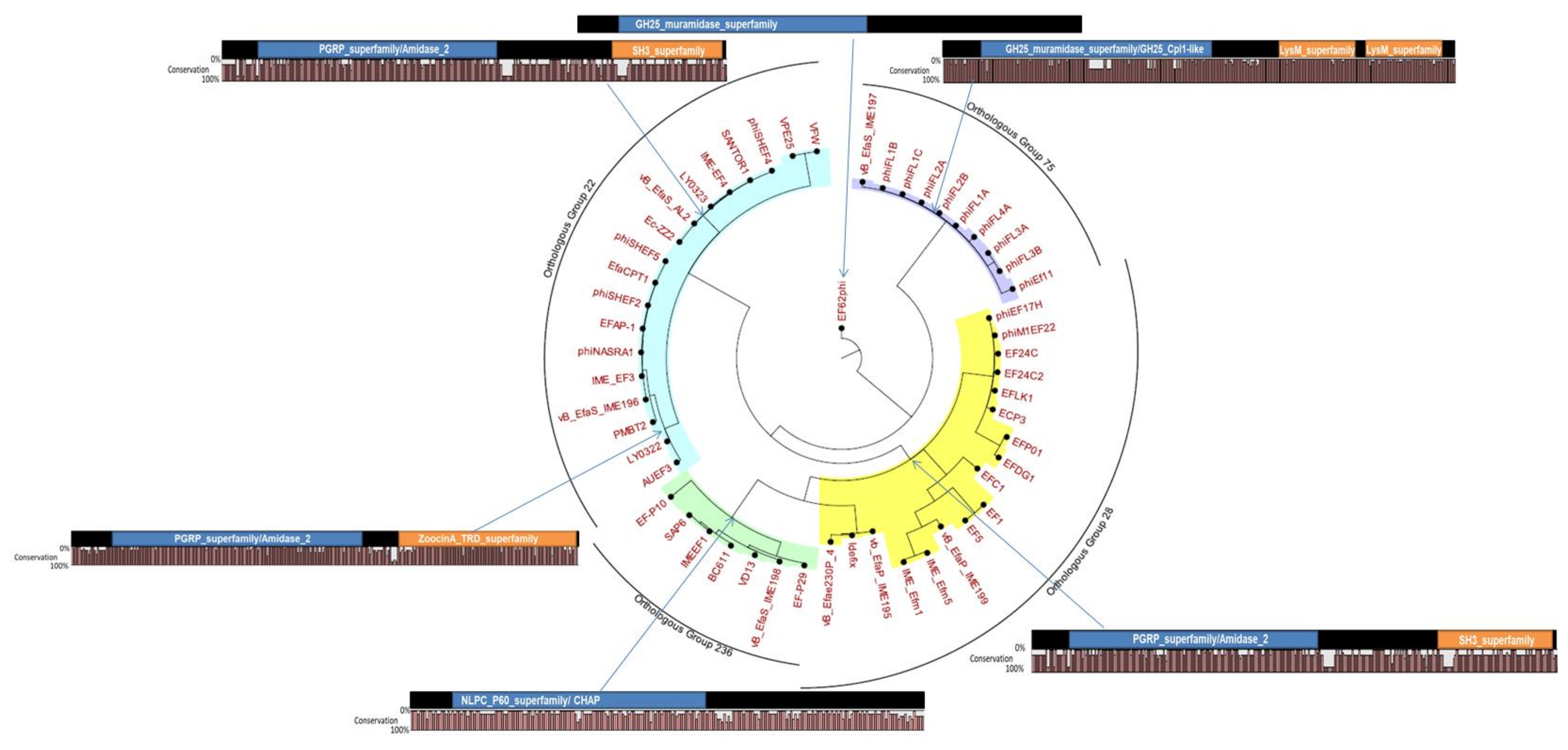 Viruses 11 00366 g003 Viruses 11 00366 g003