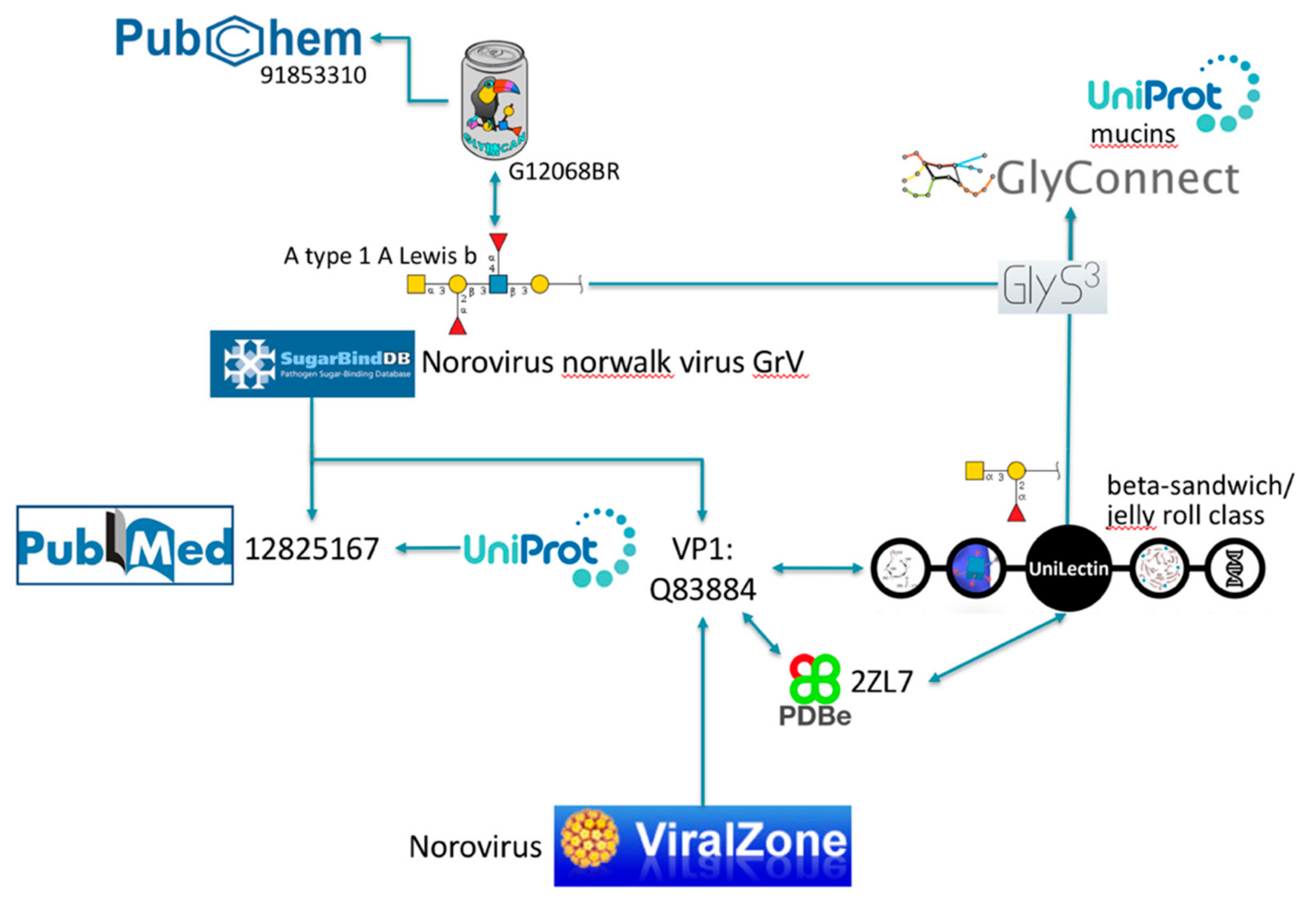 Viruses 11 00374 g003