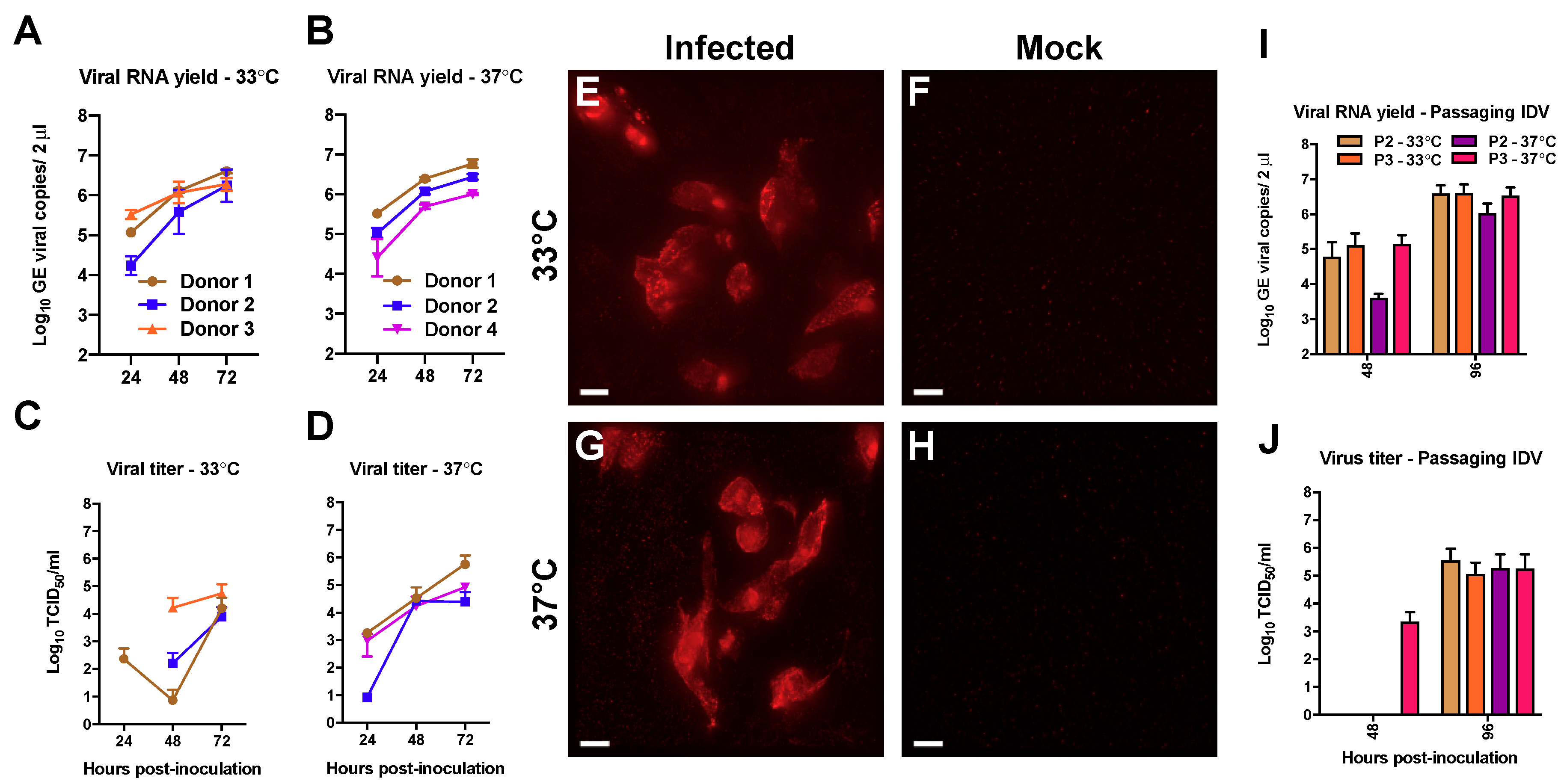 Viruses 11 00377 g001