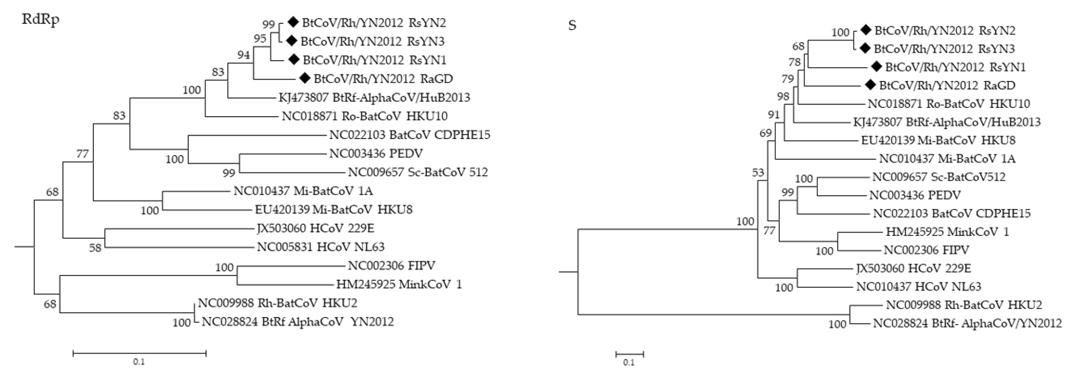 Viruses 11 00379 g004