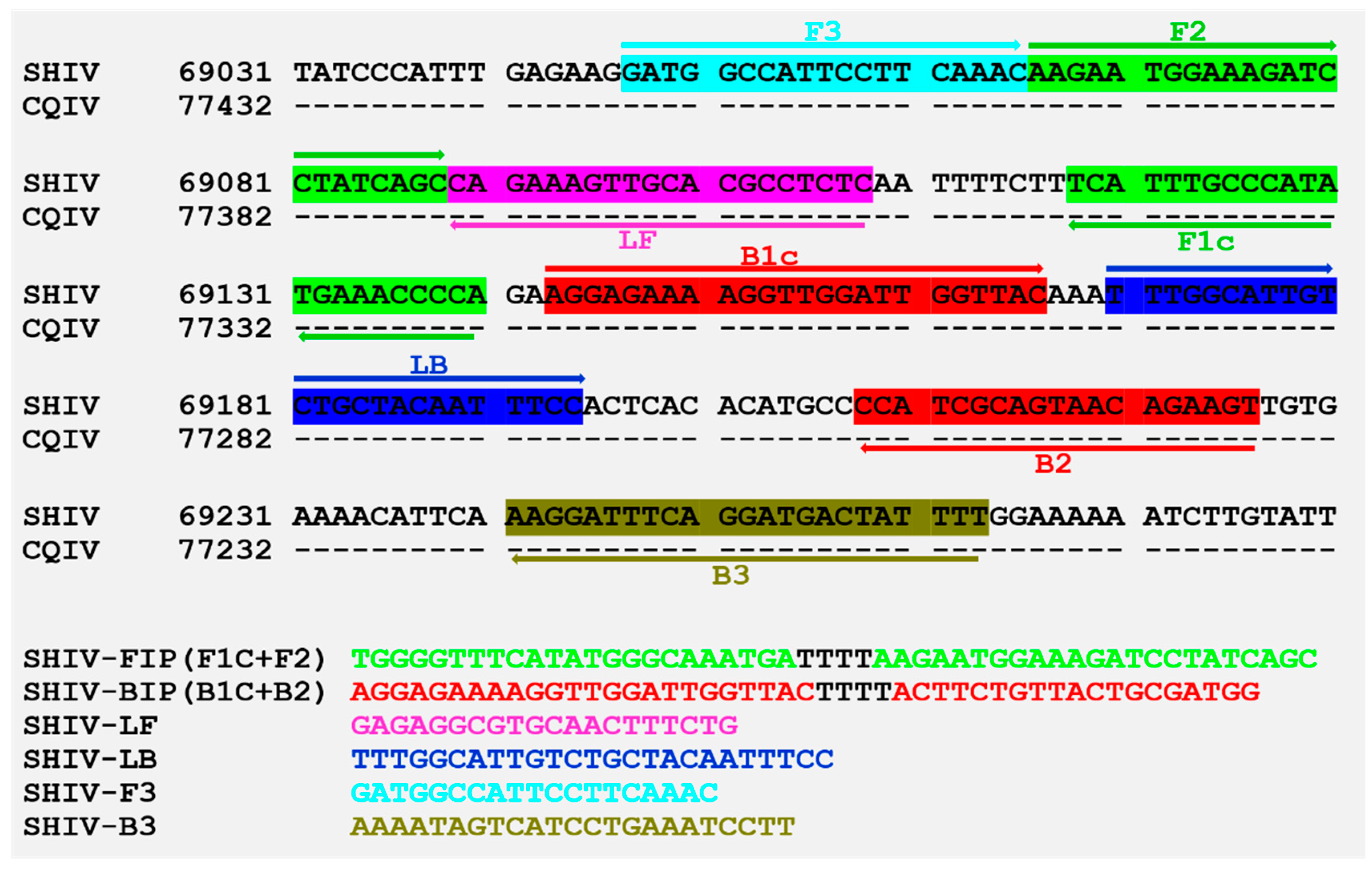 Viruses 11 00387 g005