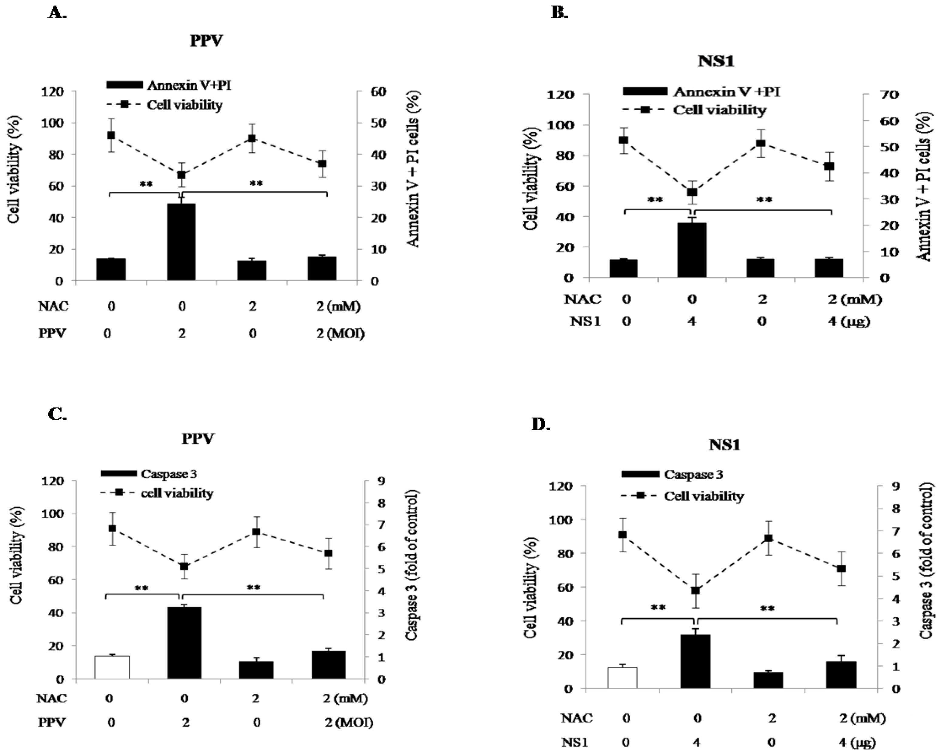 Viruses 11 00389 g005
