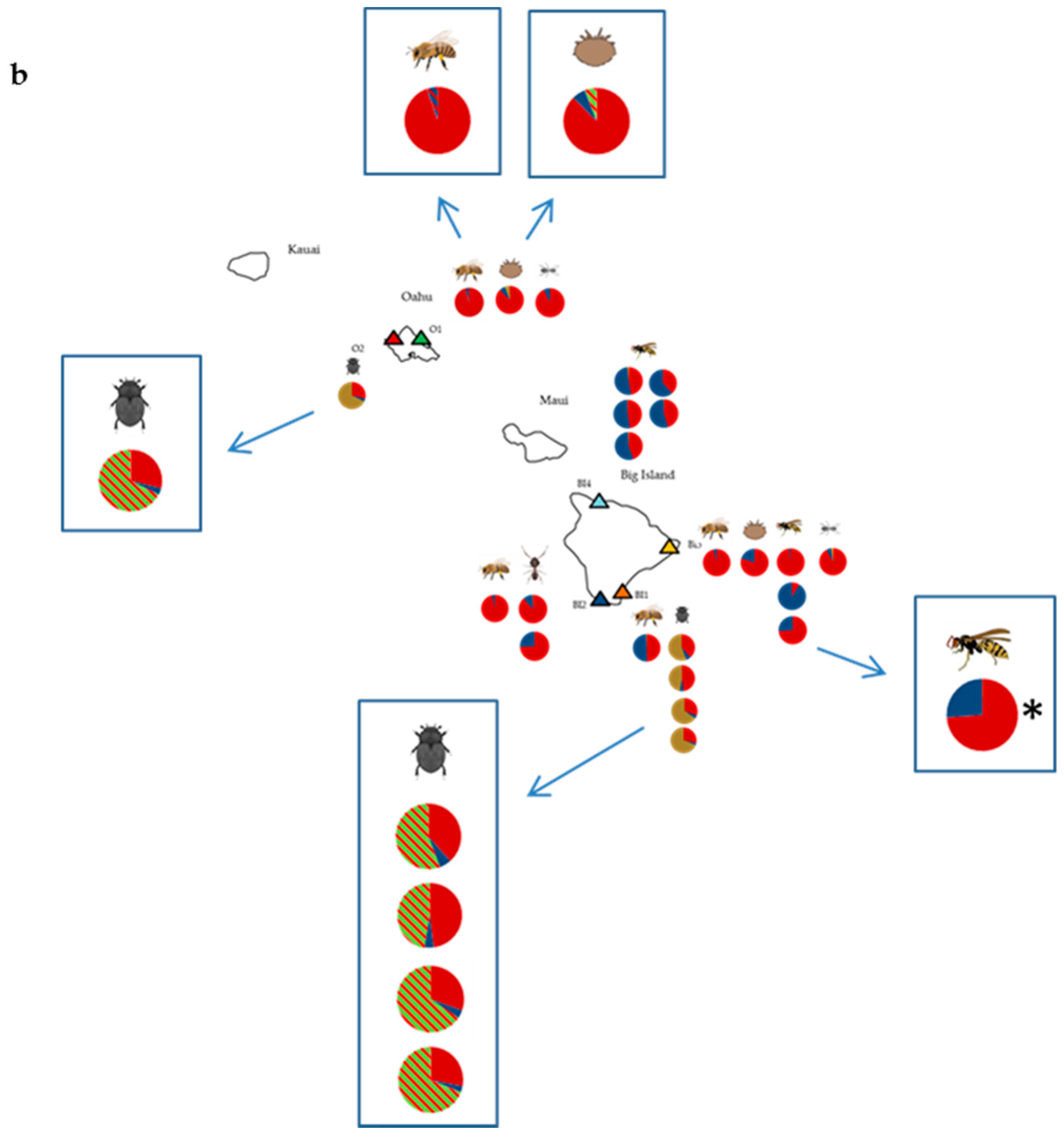 Viruses 11 00397 g001b