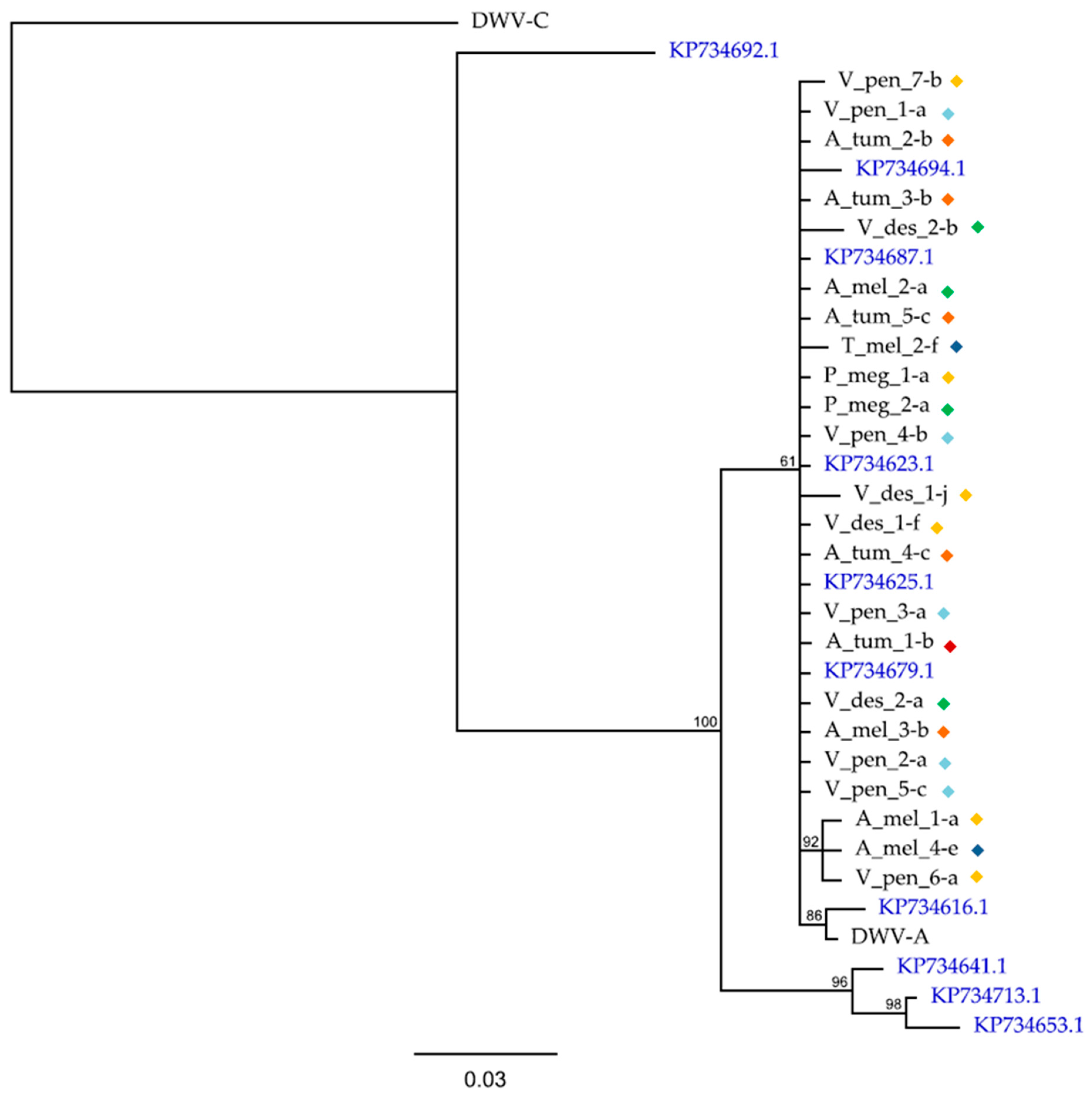 Viruses 11 00397 g004