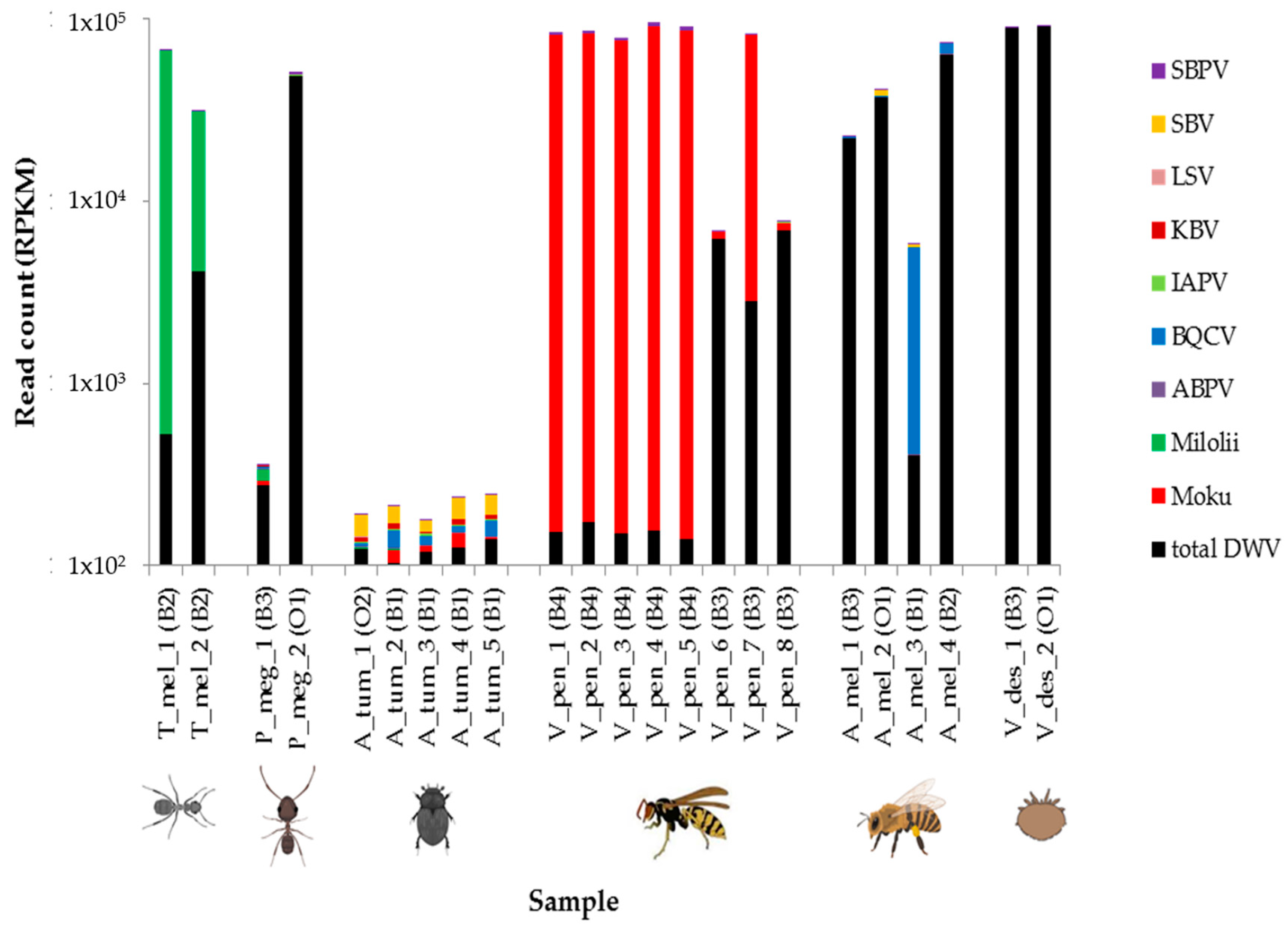 Viruses 11 00397 g005