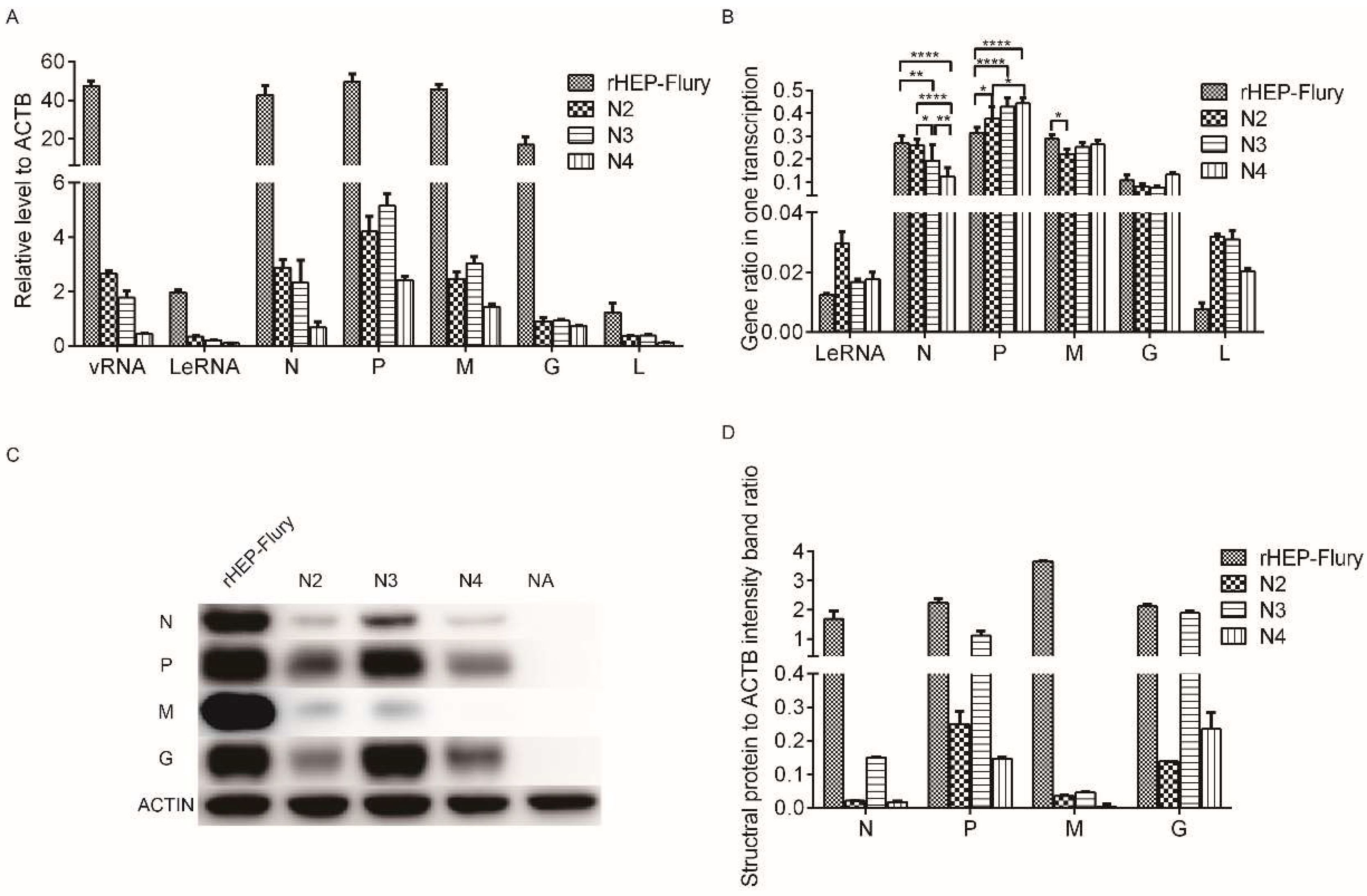 Viruses 11 00402 g002 Viruses 11 00402 g002