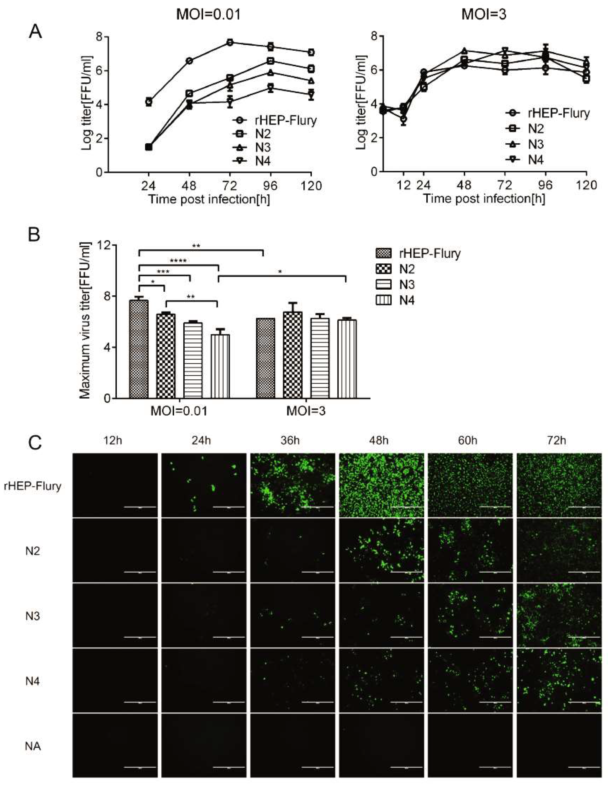 Viruses 11 00402 g003 Viruses 11 00402 g003