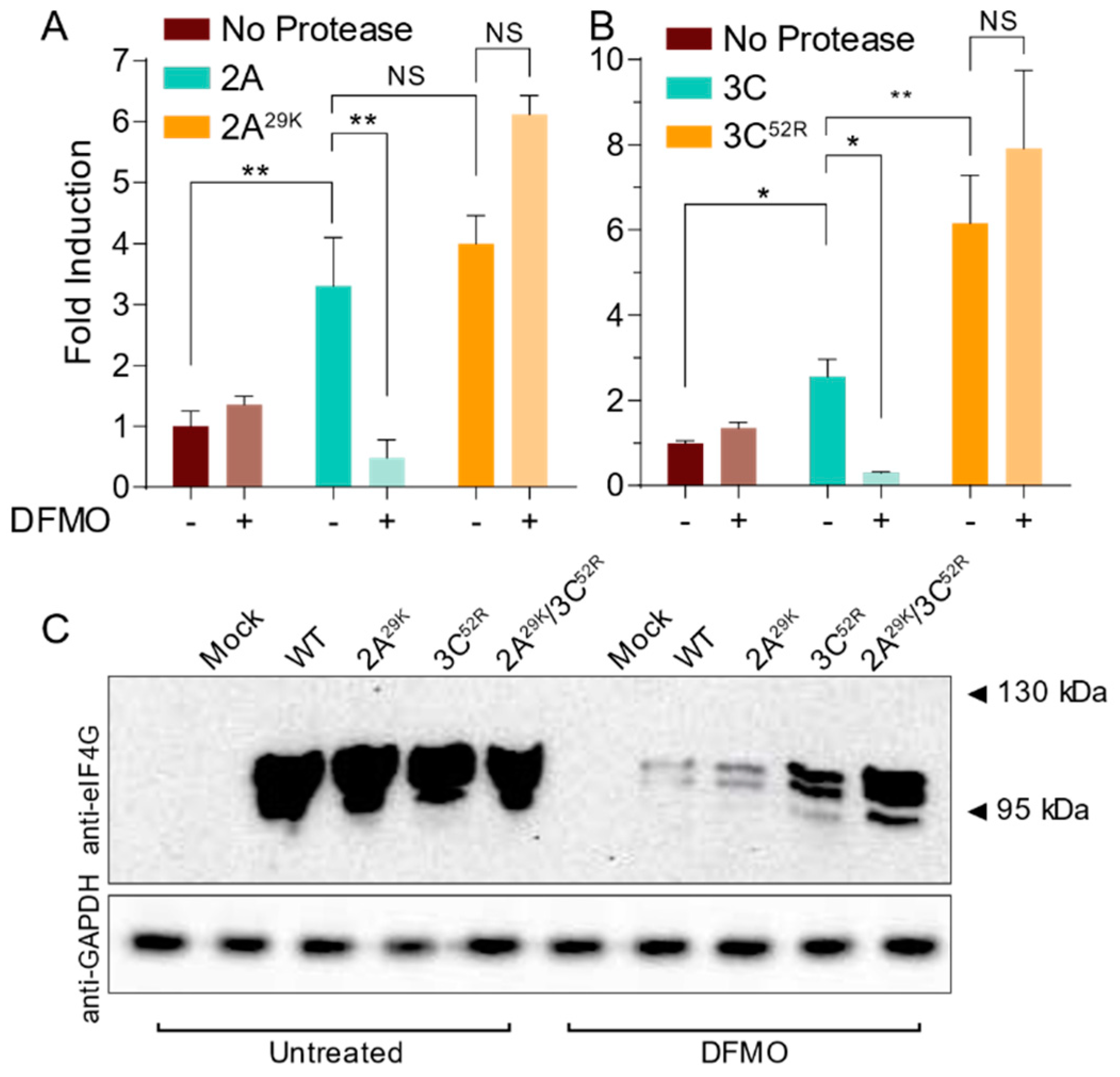 Viruses 11 00403 g005