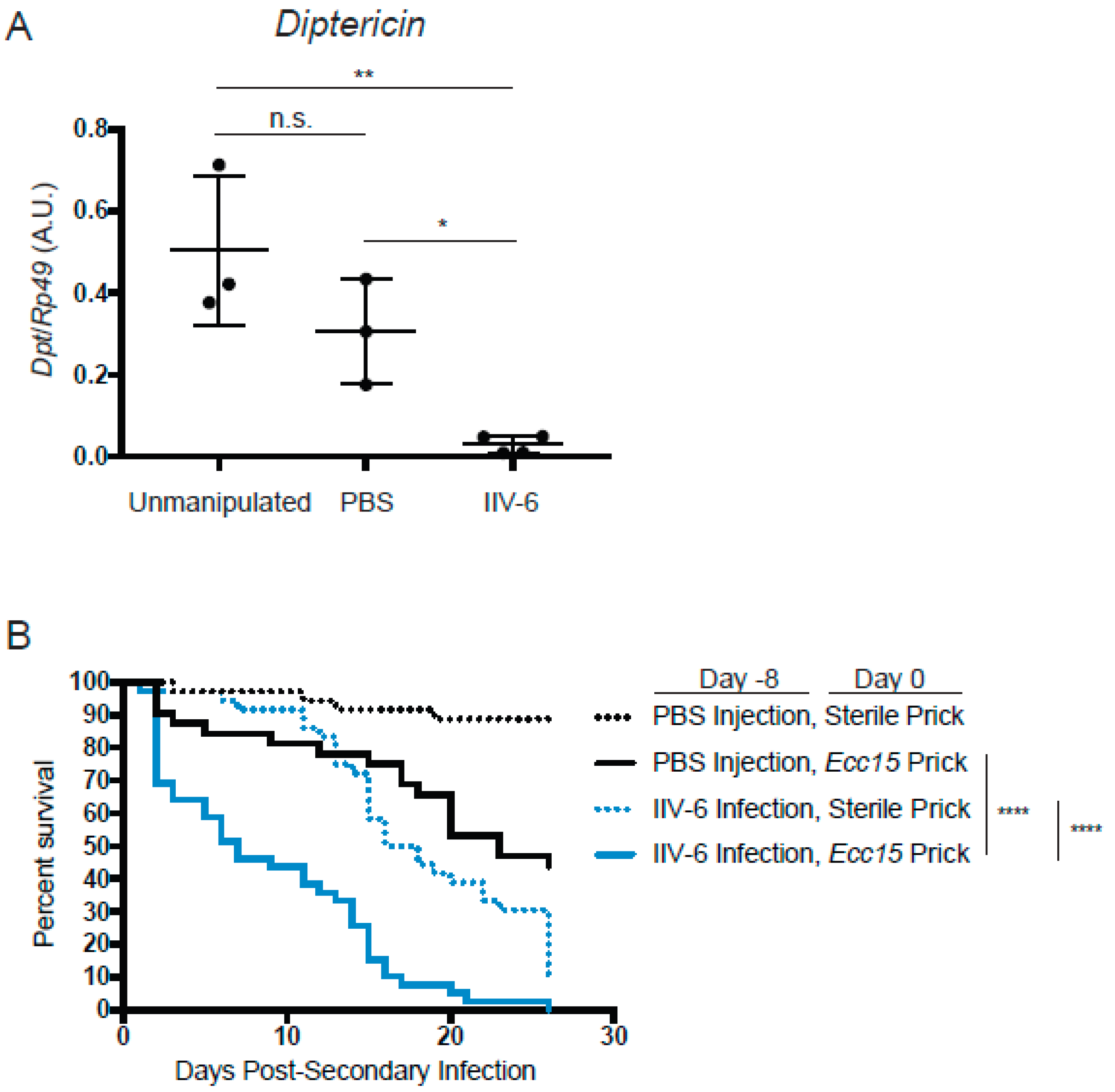 Viruses 11 00409 g007