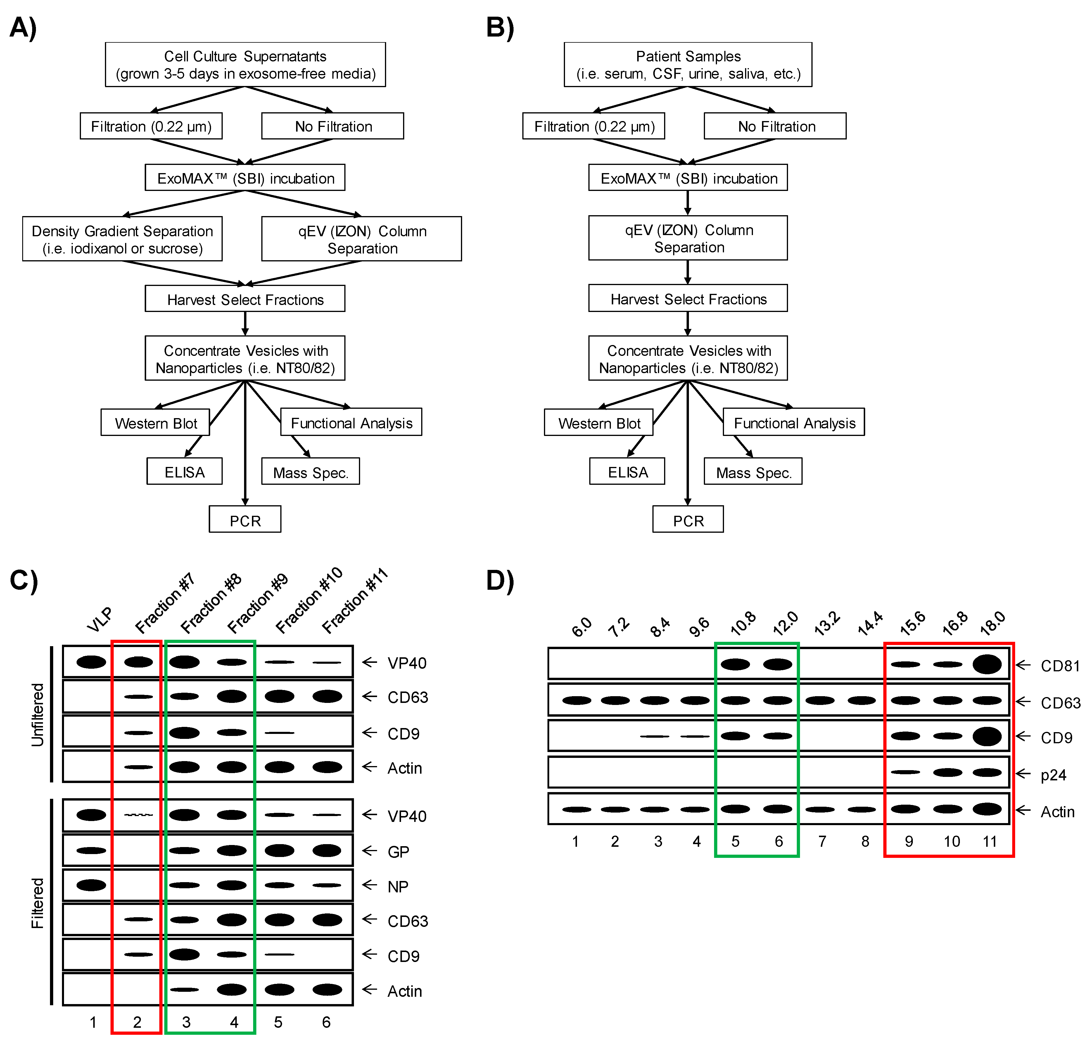 Viruses 11 00410 g001 Viruses 11 00410 g001