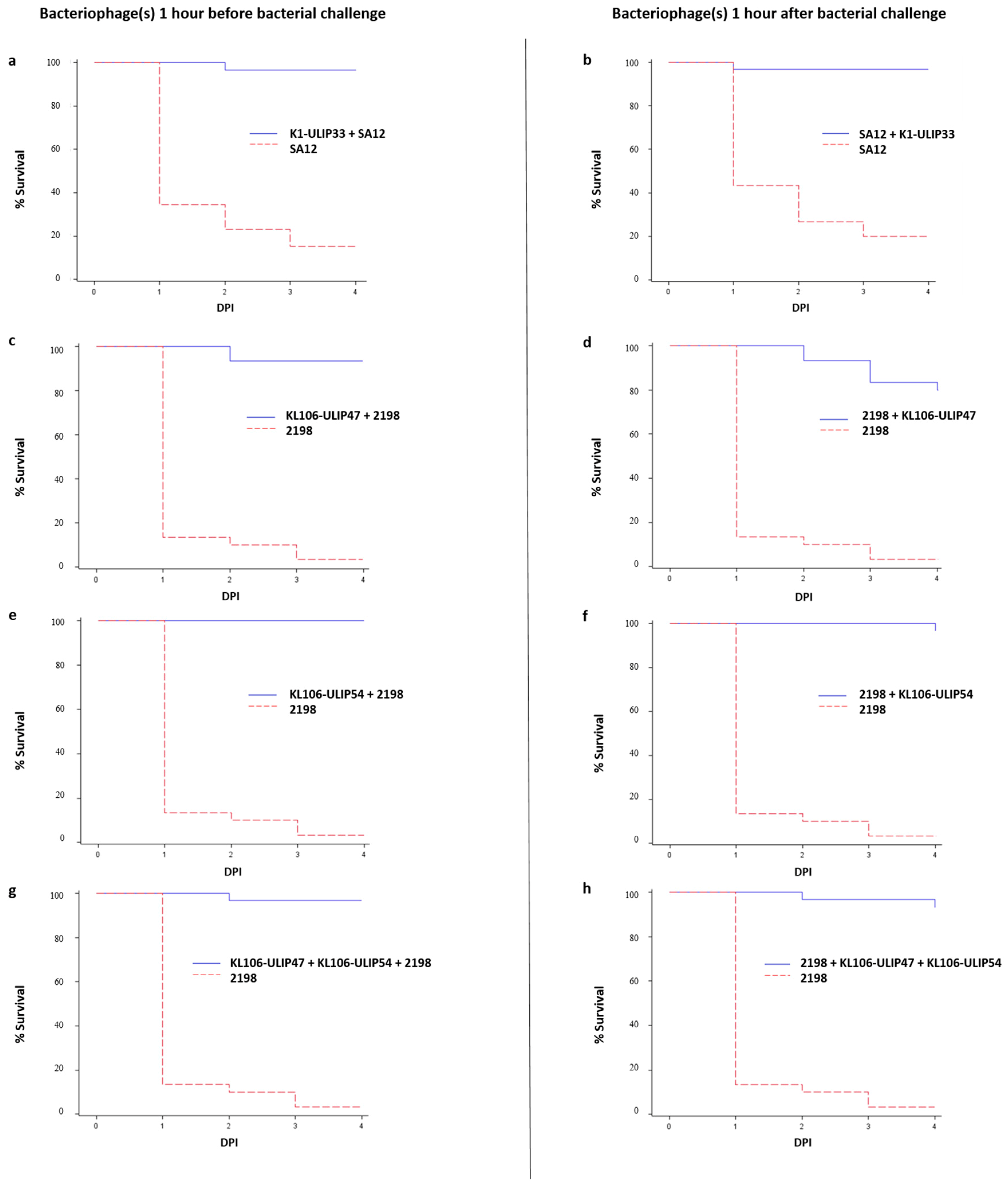 Viruses 11 00411 g002 Viruses 11 00411 g002
