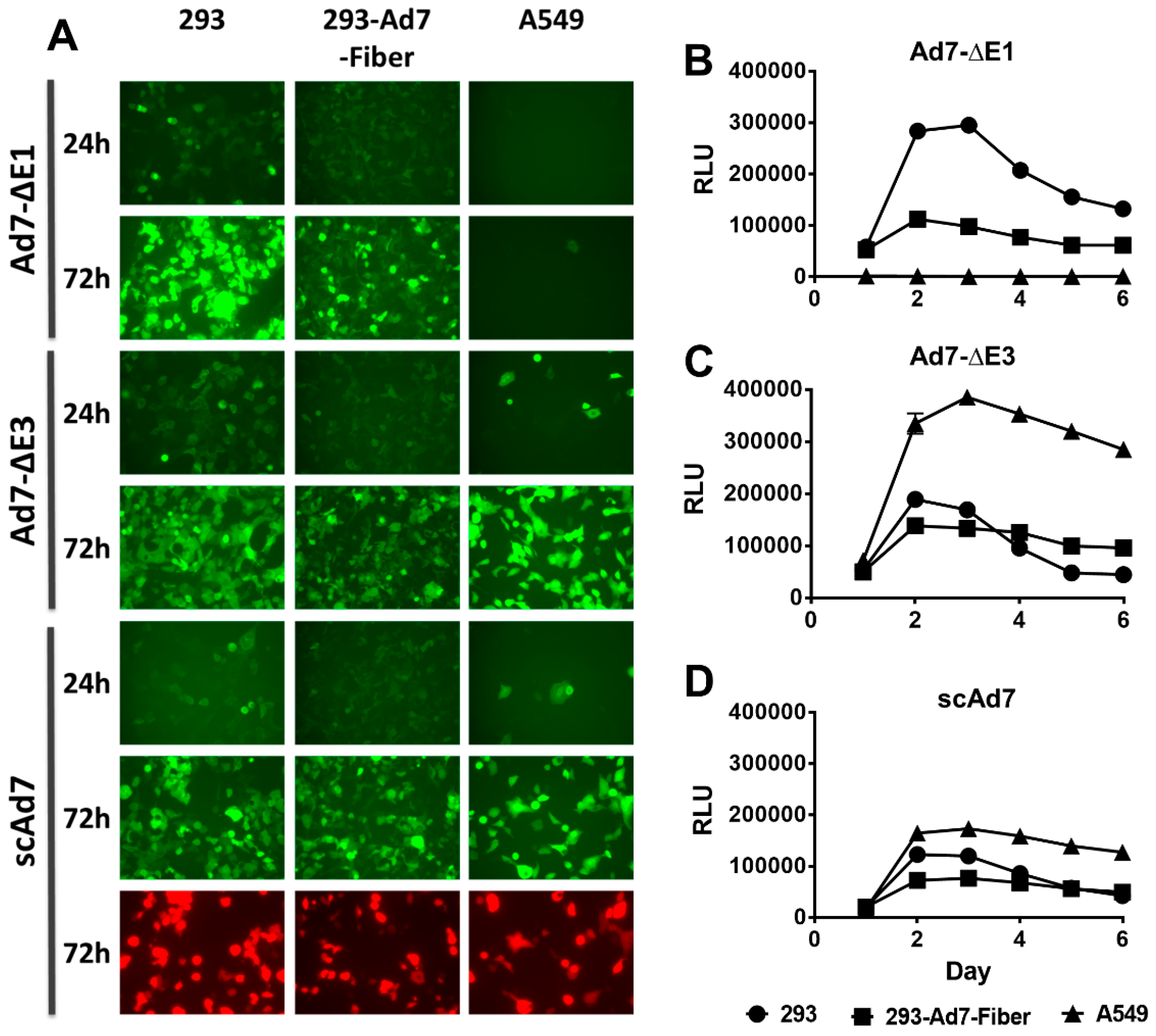 Viruses 11 00413 g002 550
