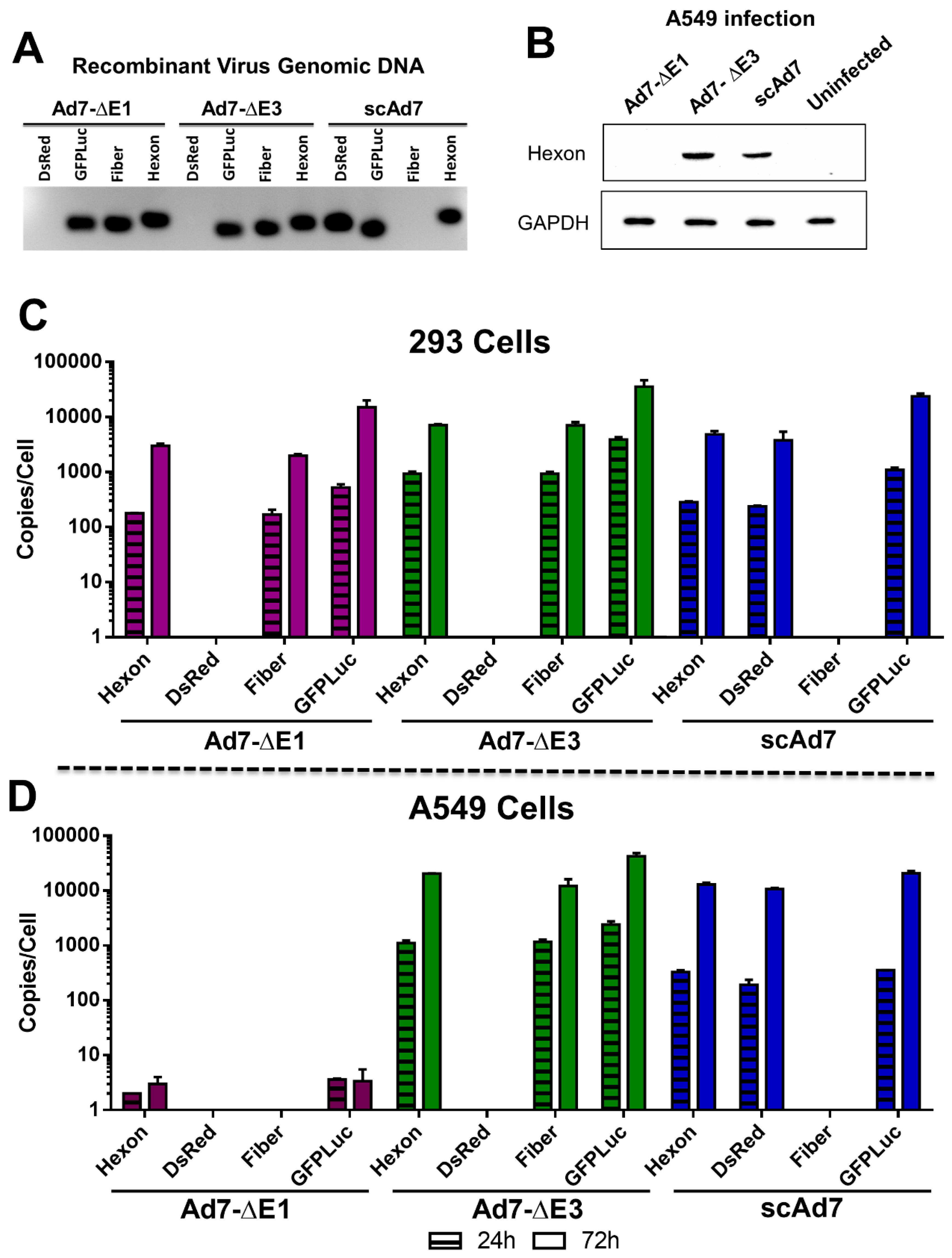 Viruses 11 00413 g003 550