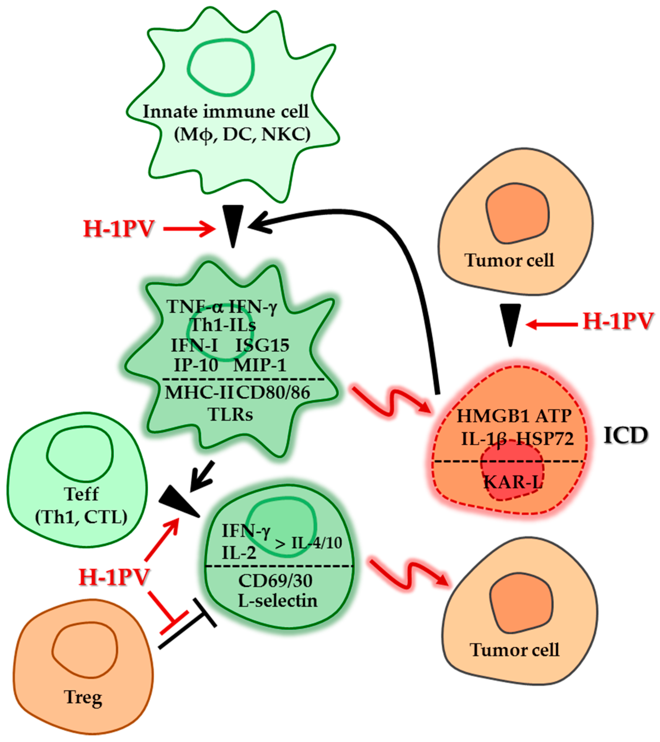 Viruses 11 00415 g001