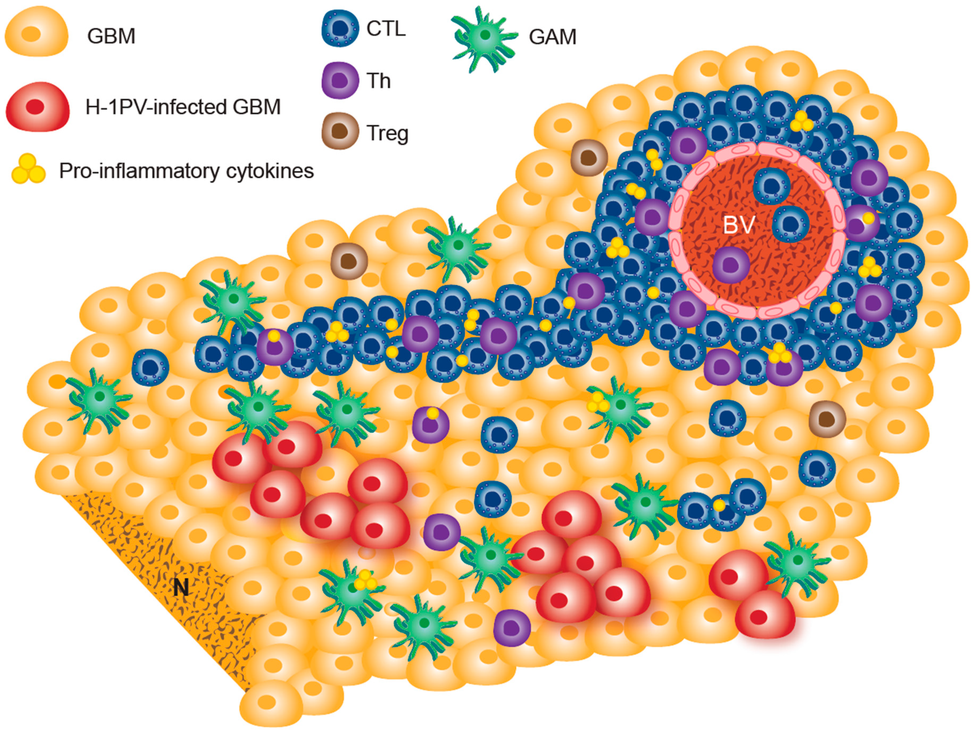 Viruses 11 00415 g002