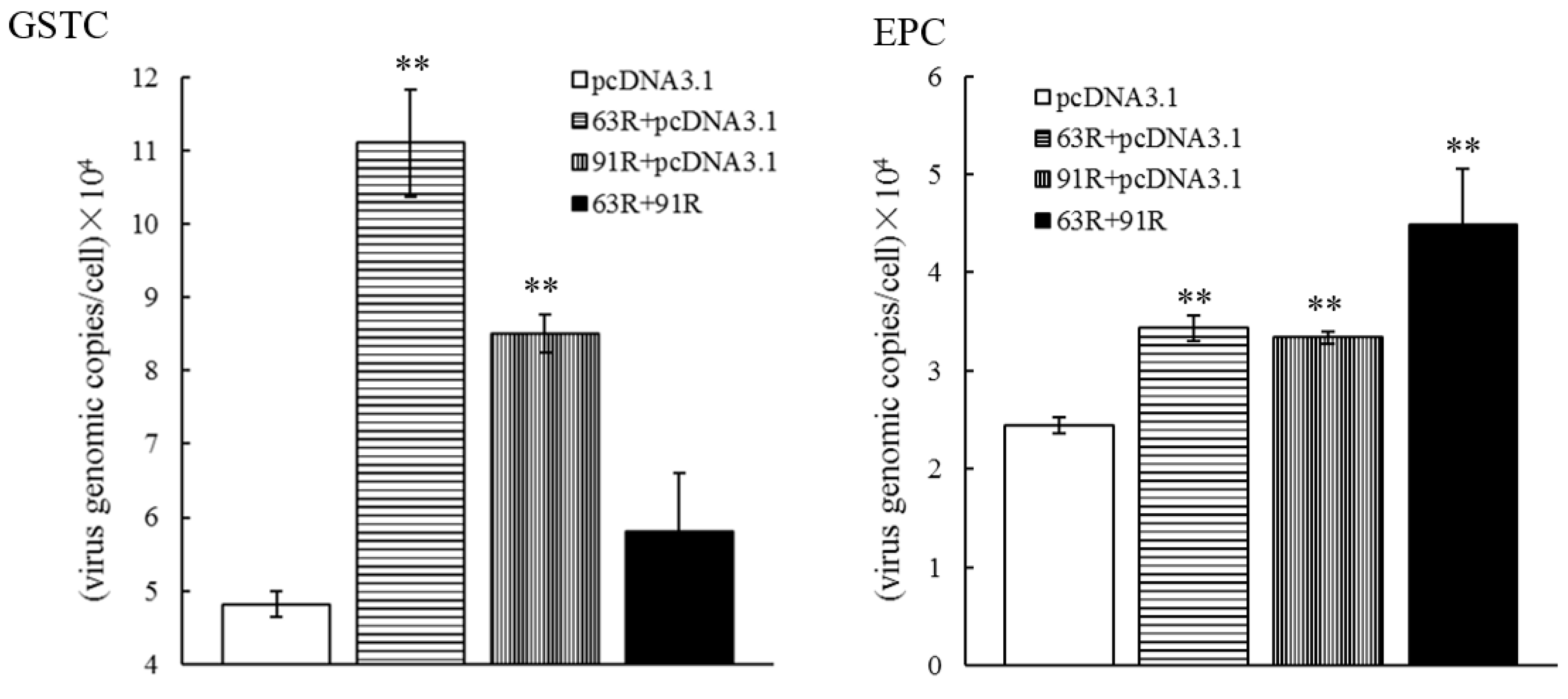 Viruses 11 00416 g005 Viruses 11 00416 g005