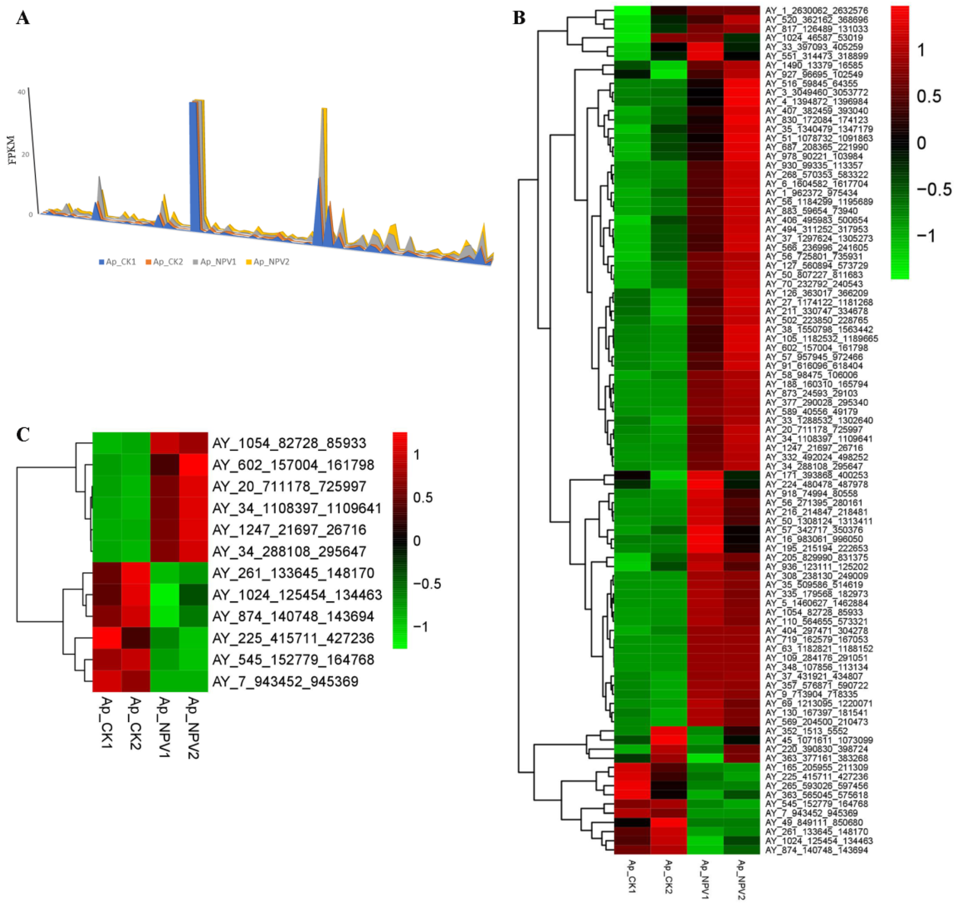 Viruses 11 00421 g004 Viruses 11 00421 g004