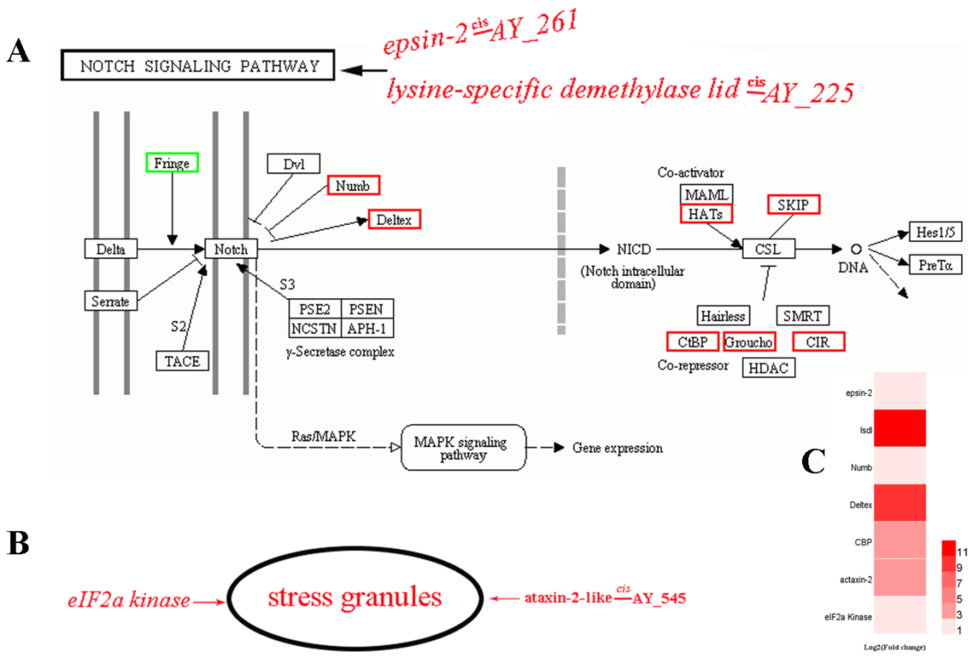Viruses 11 00421 g007 Viruses 11 00421 g007