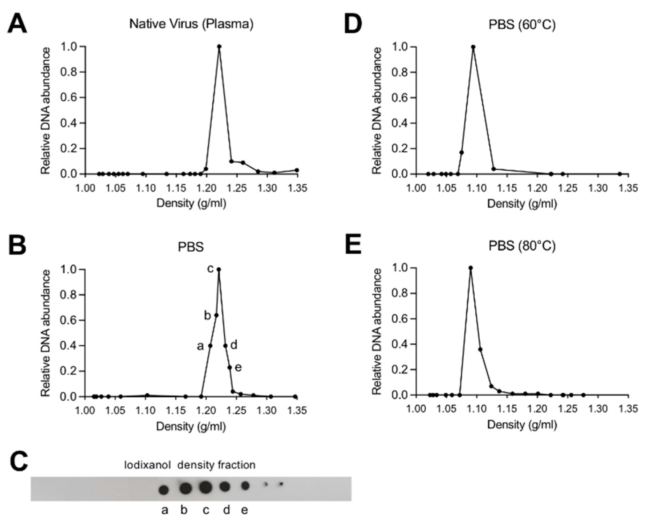 Viruses 11 00430 g001