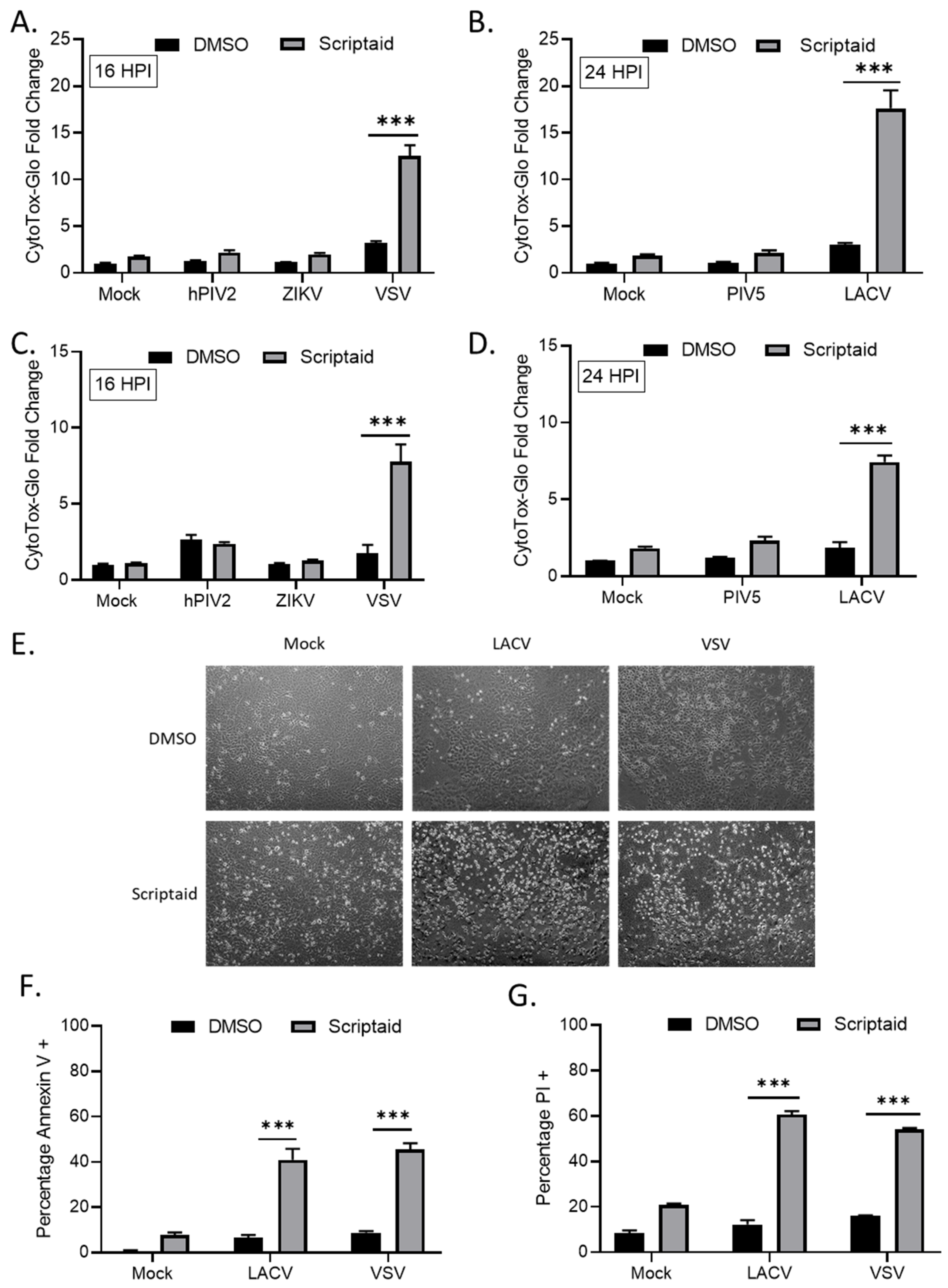 Viruses 11 00431 g004 Viruses 11 00431 g004