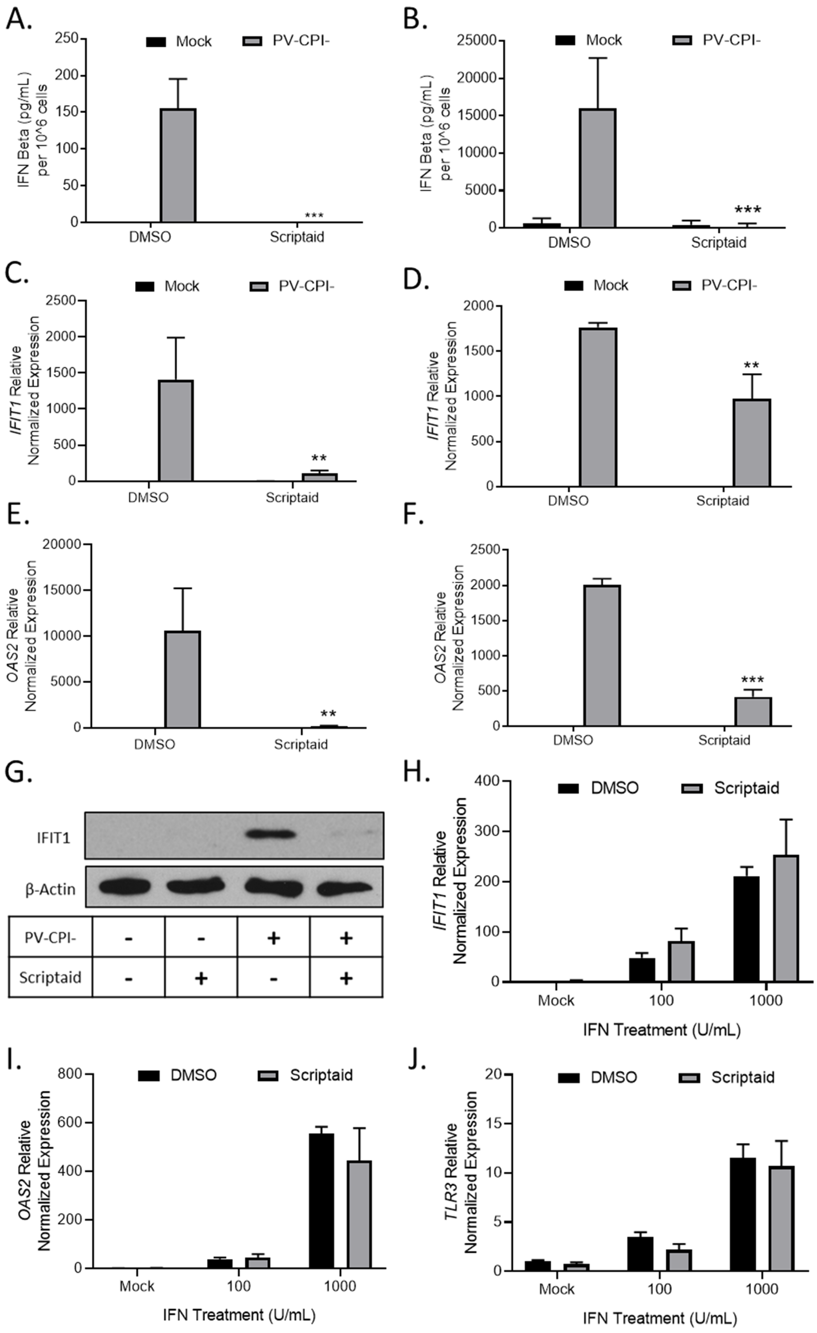 Viruses Free Full Text Histone Deacetylase Inhibitors Enhance Cell Killing And Block Interferon Beta Synthesis Elicited By Infection With An Oncolytic Parainfluenza Virus Html