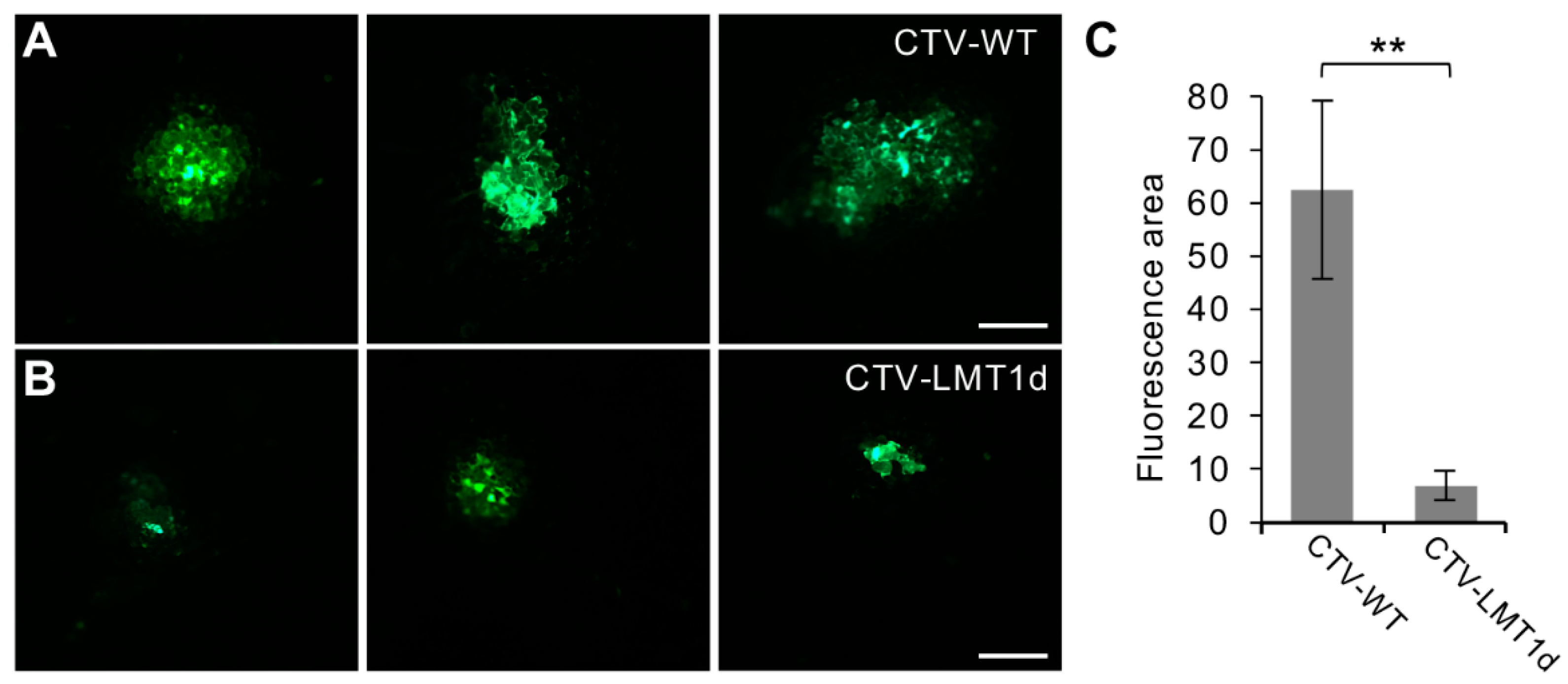 Viruses 11 00436 g003