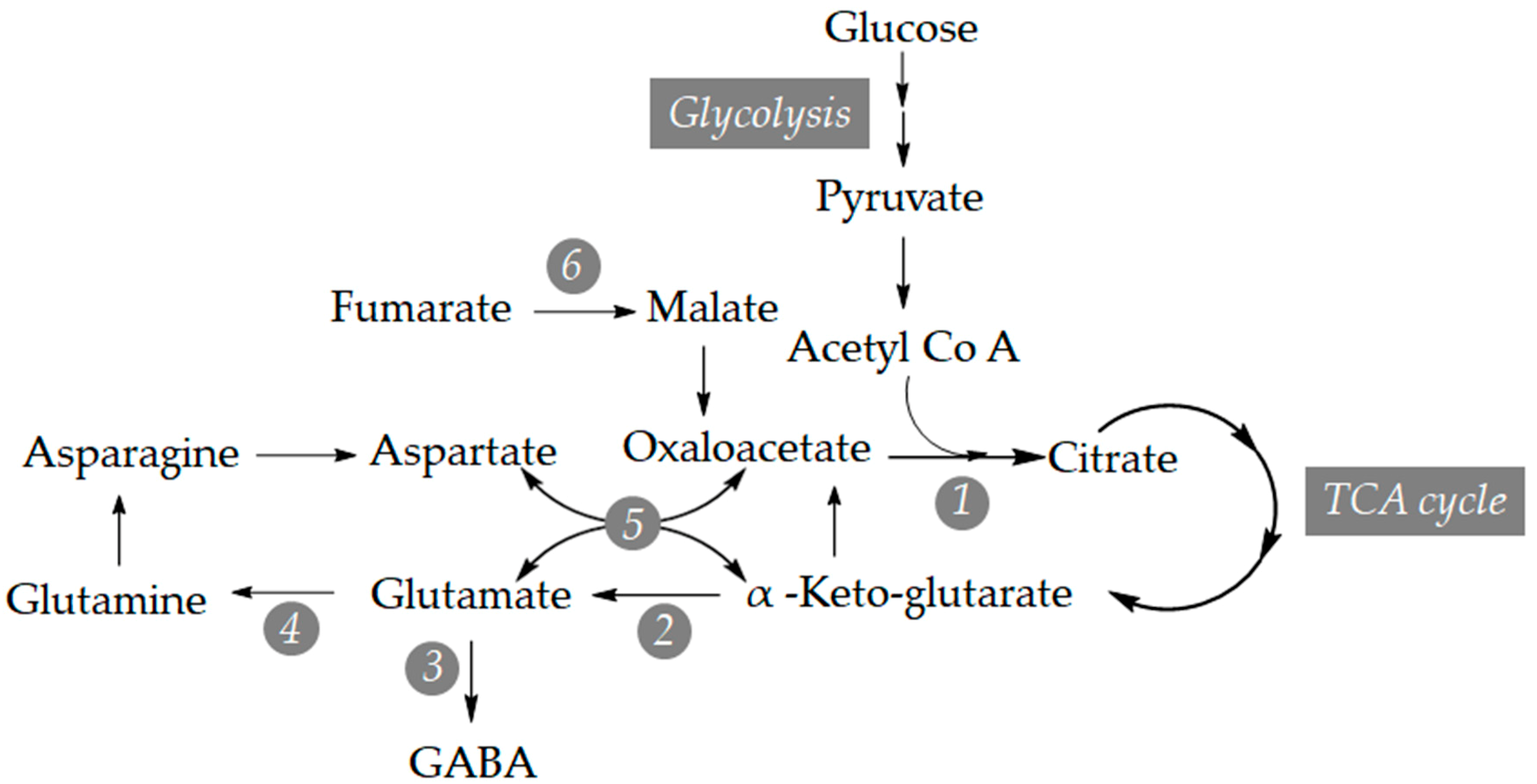 Viruses 11 00437 g003 Viruses 11 00437 g003