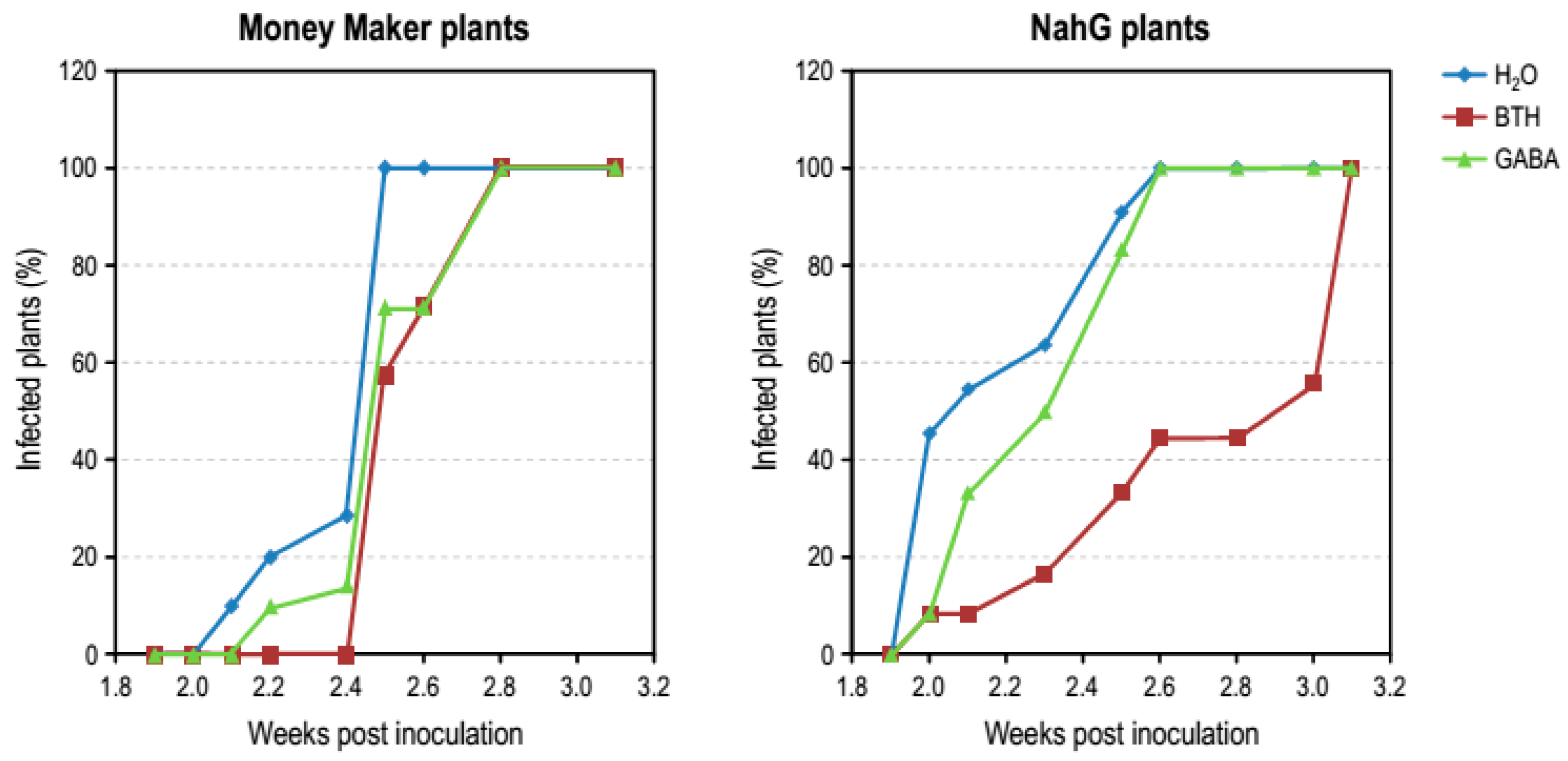 Viruses 11 00437 g006 Viruses 11 00437 g006