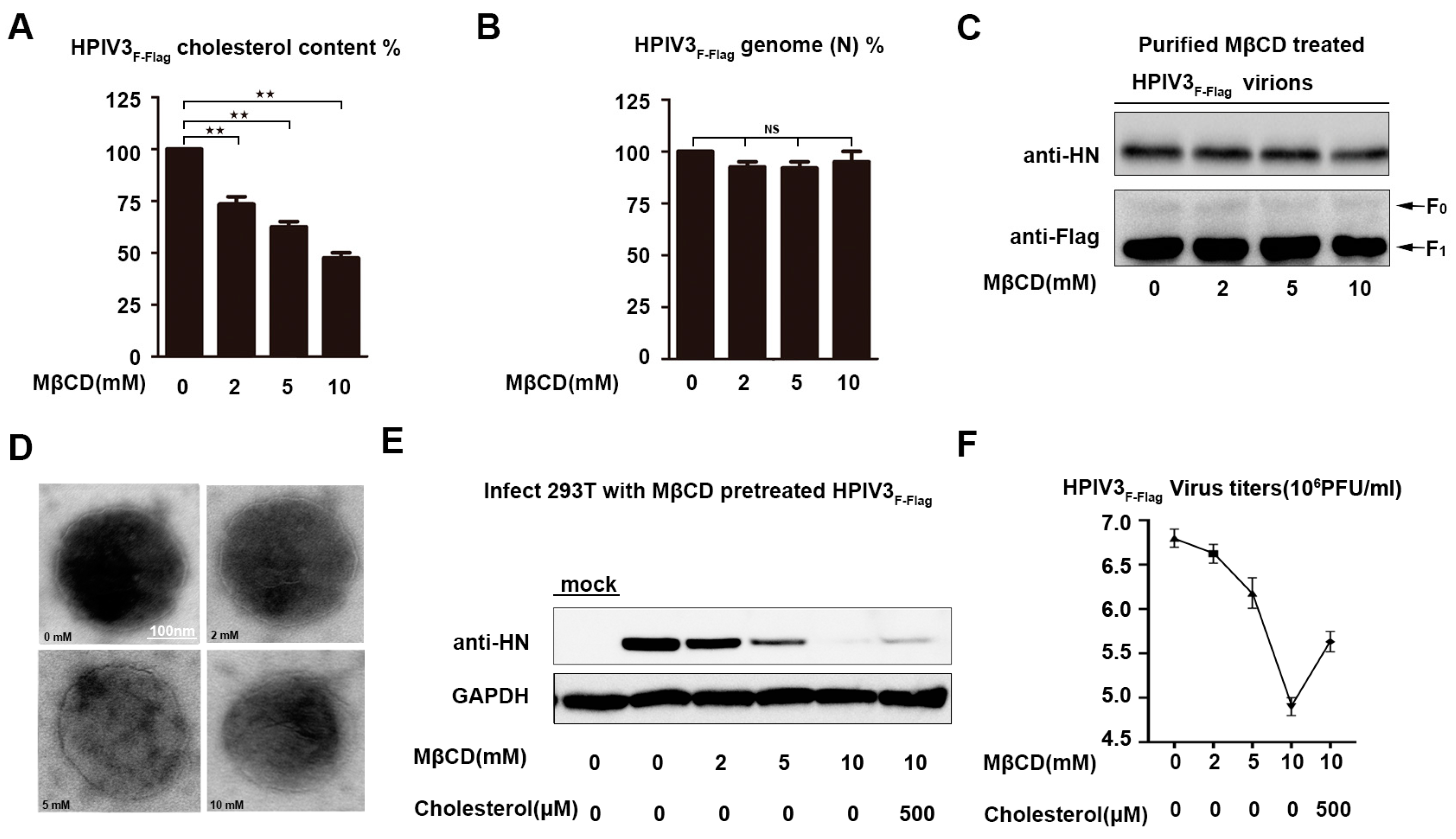 Viruses 11 00438 g005 Viruses 11 00438 g005