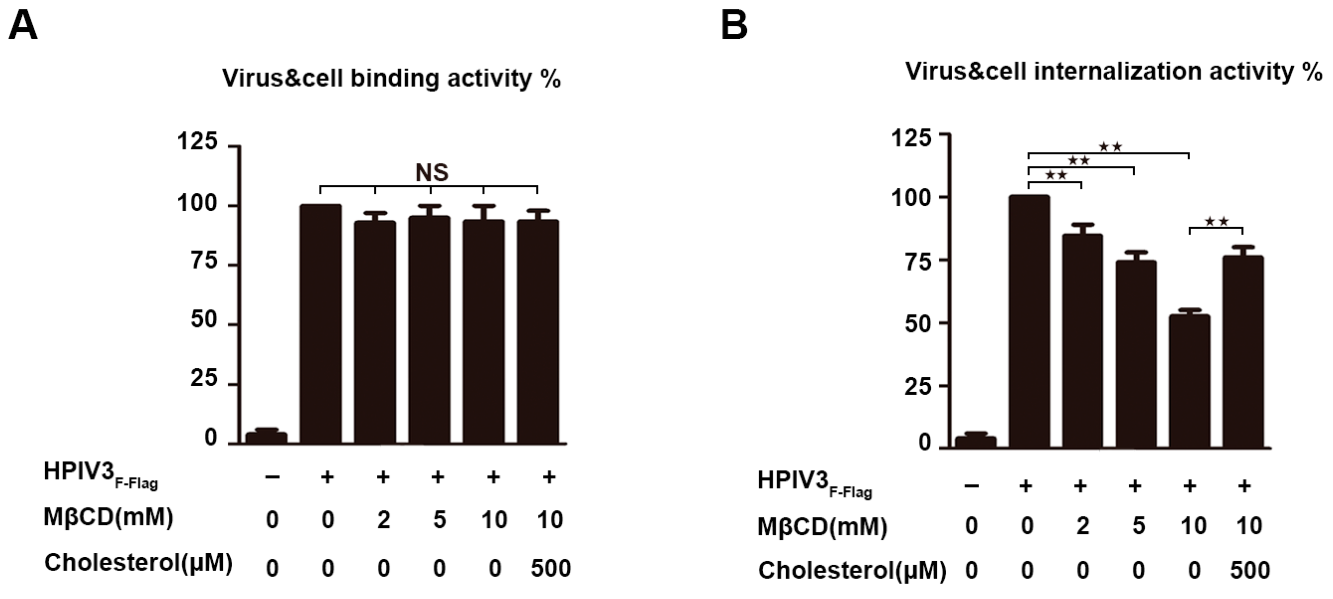 Viruses 11 00438 g006 Viruses 11 00438 g006