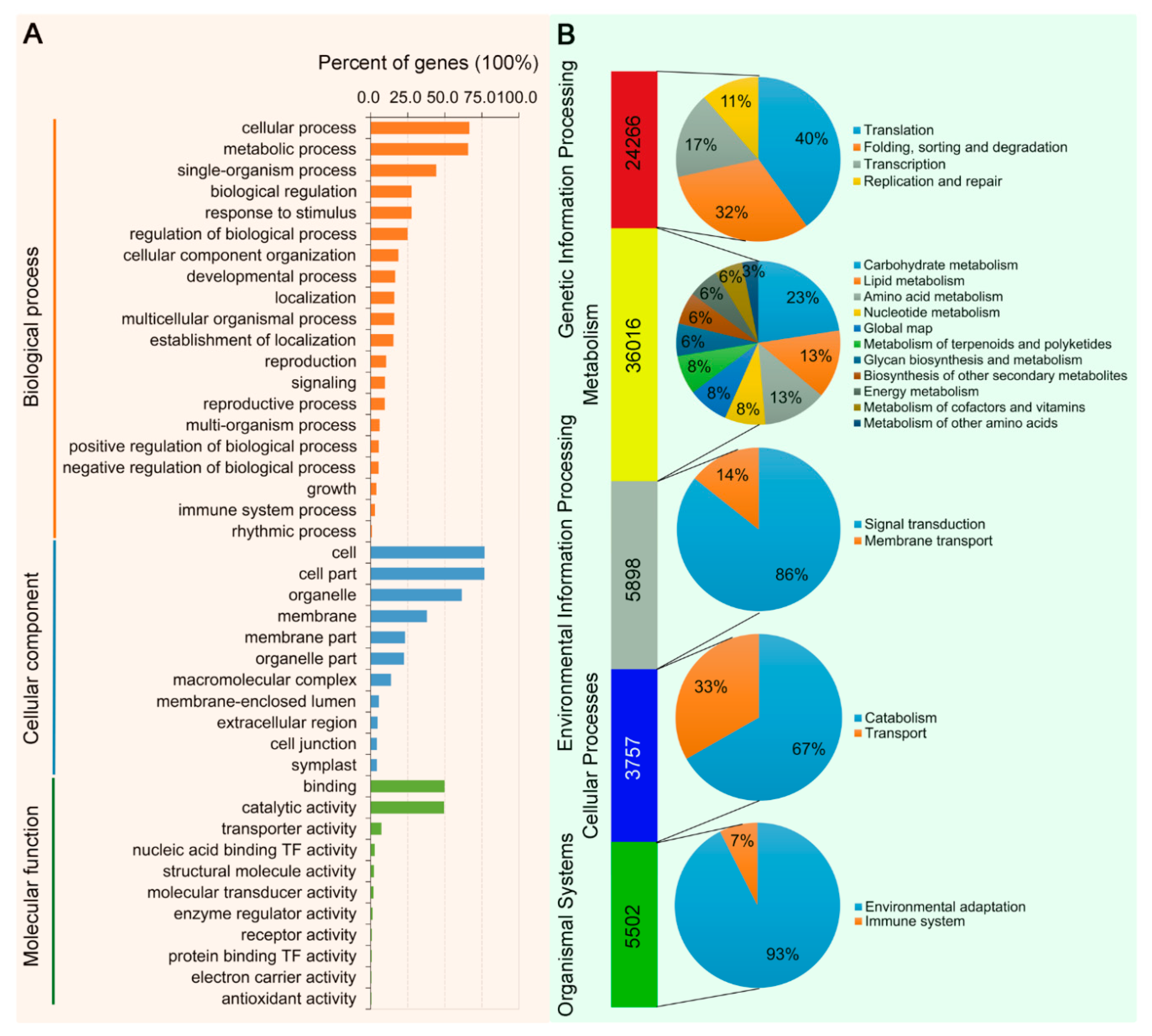 Viruses 11 00442 g003