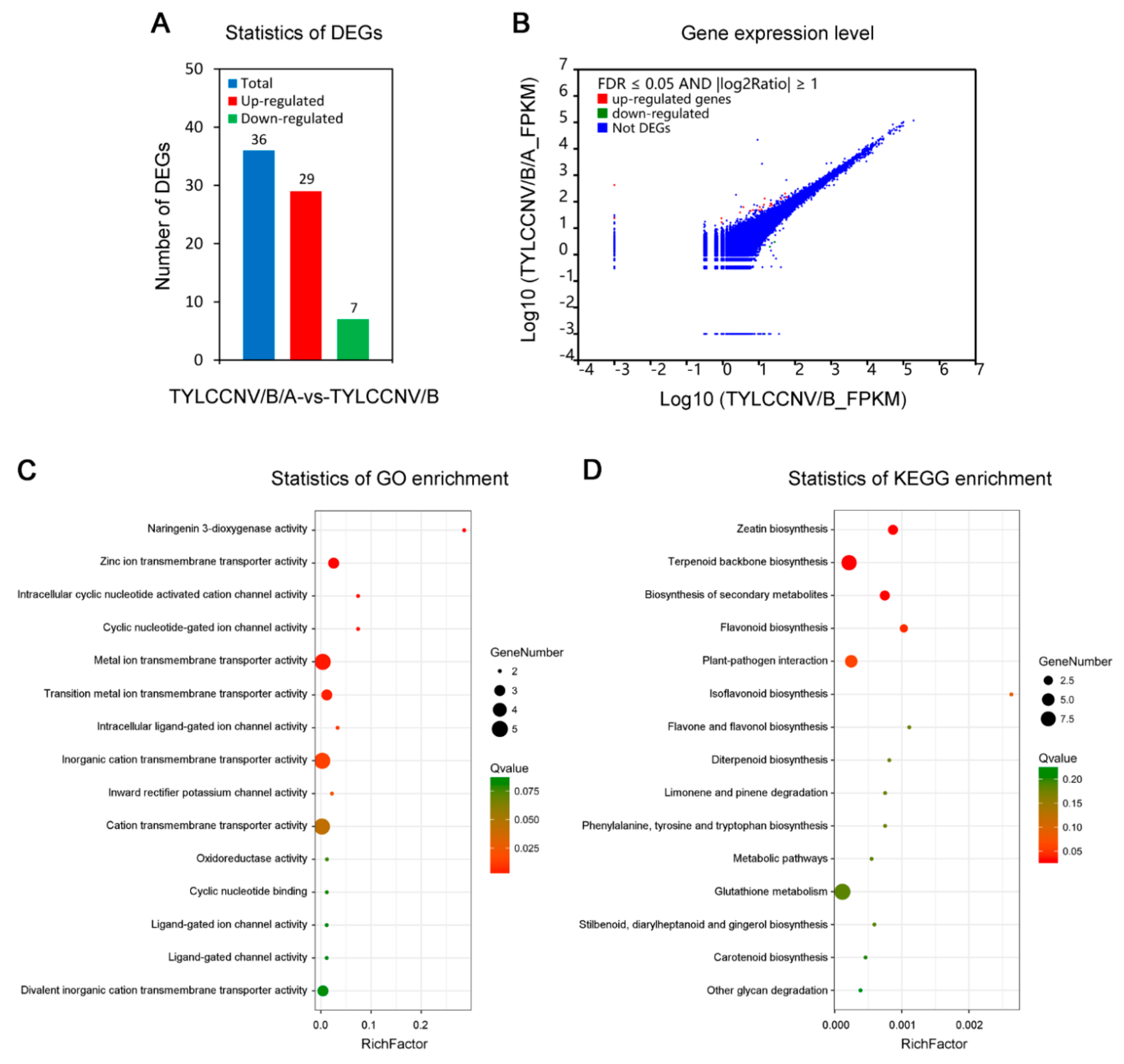 Viruses 11 00442 g005
