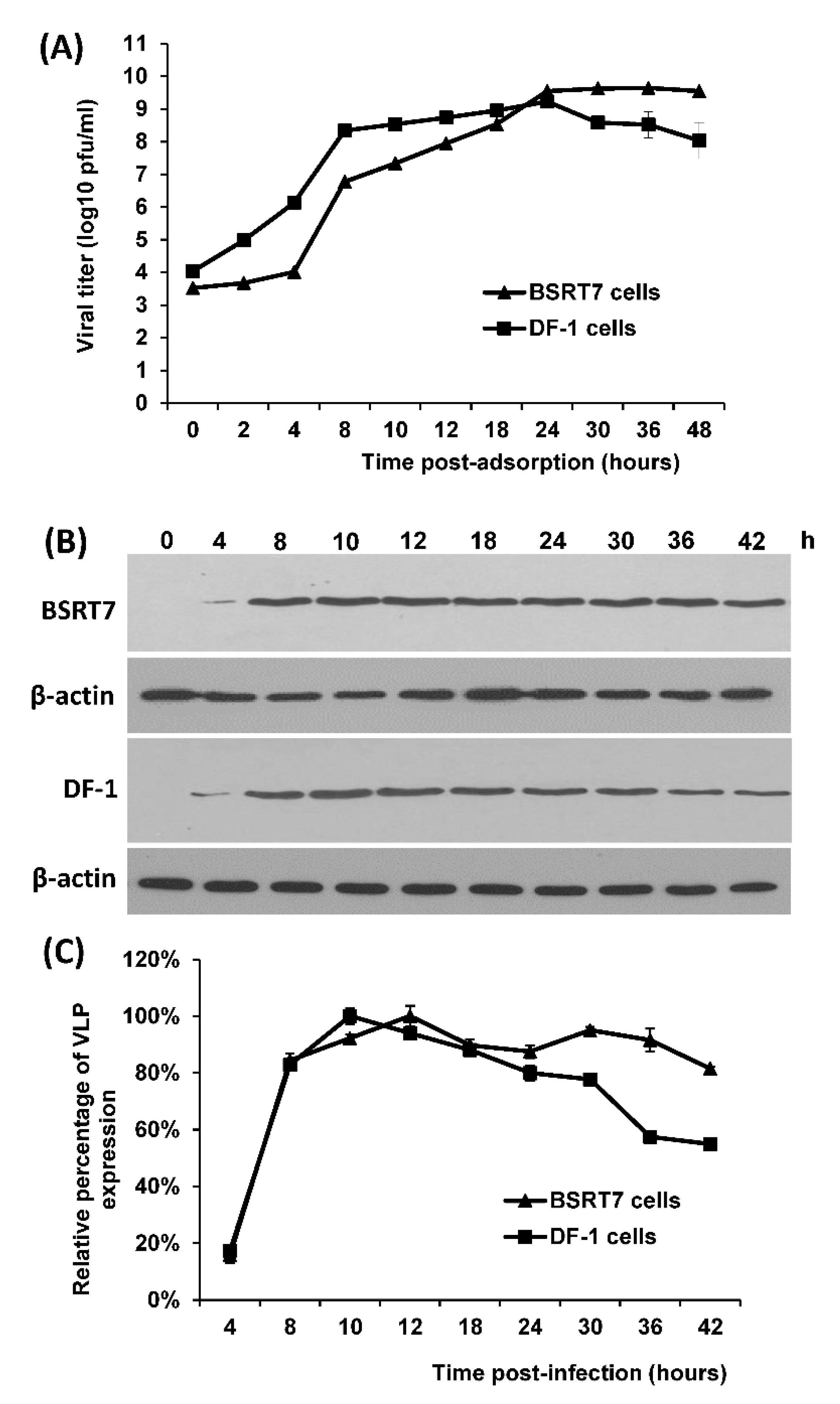 Viruses 11 00444 g001