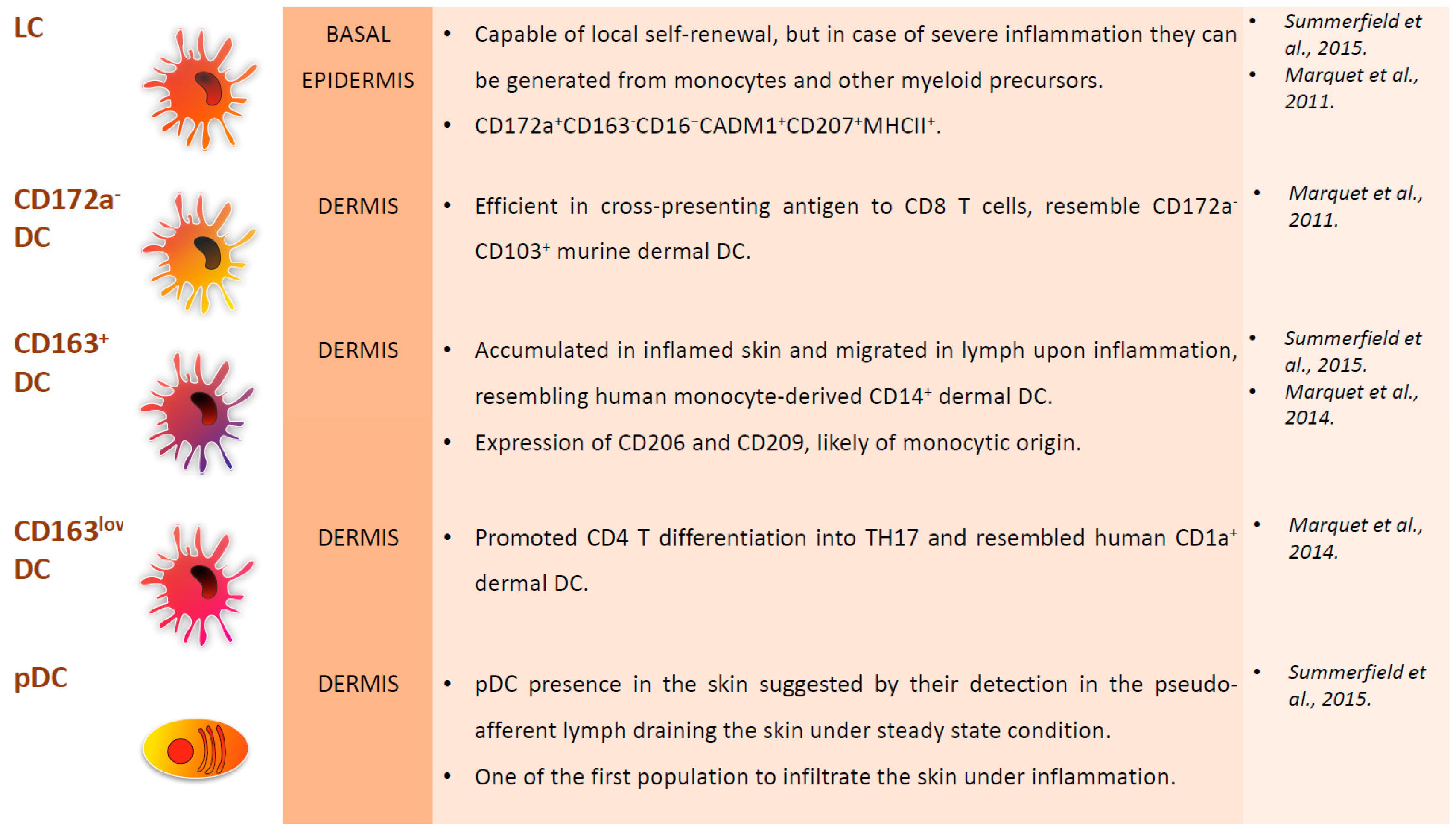 Viruses 11 00445 g002 Viruses 11 00445 g002
