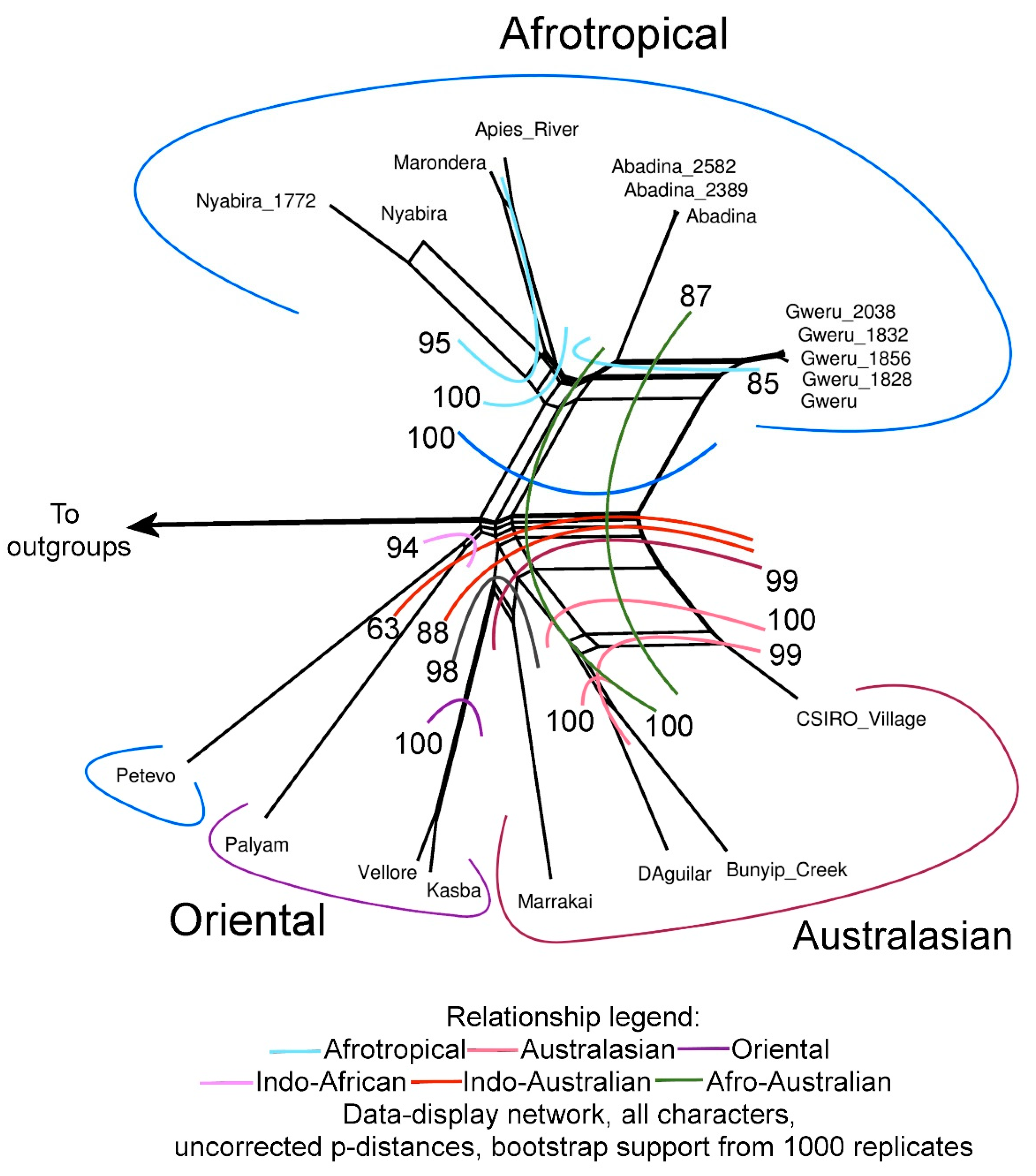 Viruses 11 00446 g001