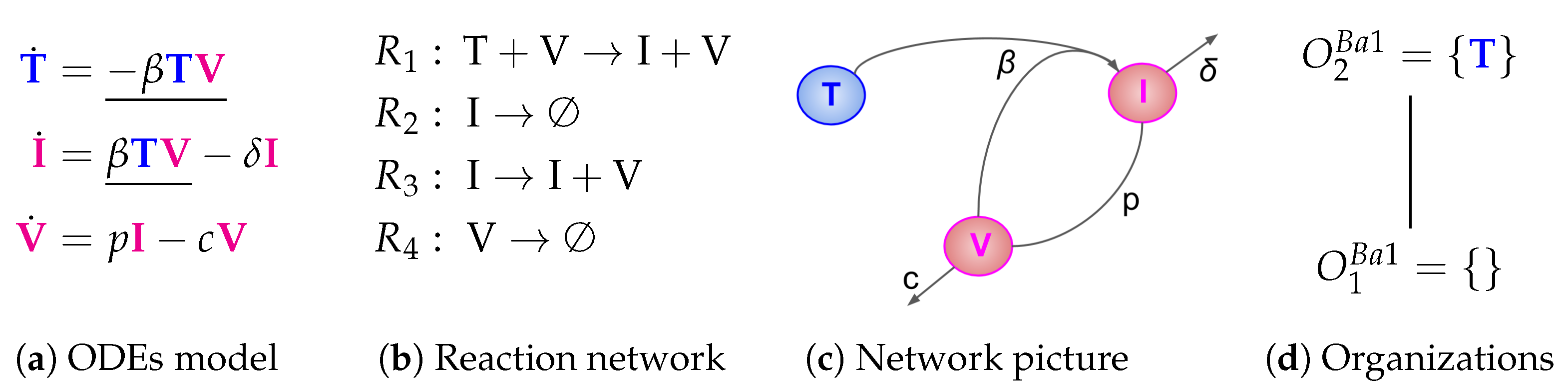 Viruses Free Full Text Structure And Hierarchy Of Influenza Virus Models Revealed By Reaction Network Analysis Html Viruses Free Full Text Structure And Hierarchy Of Influenza Virus Models Revealed By Reaction Network Analysis Html