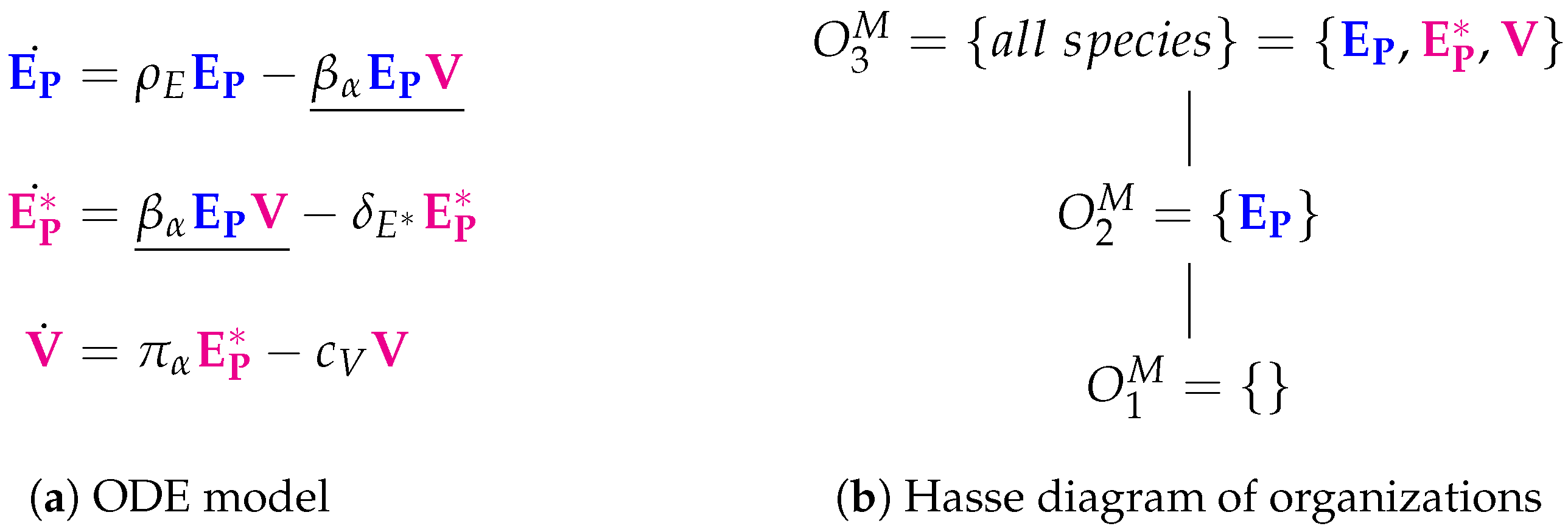 Viruses 11 00449 g003
