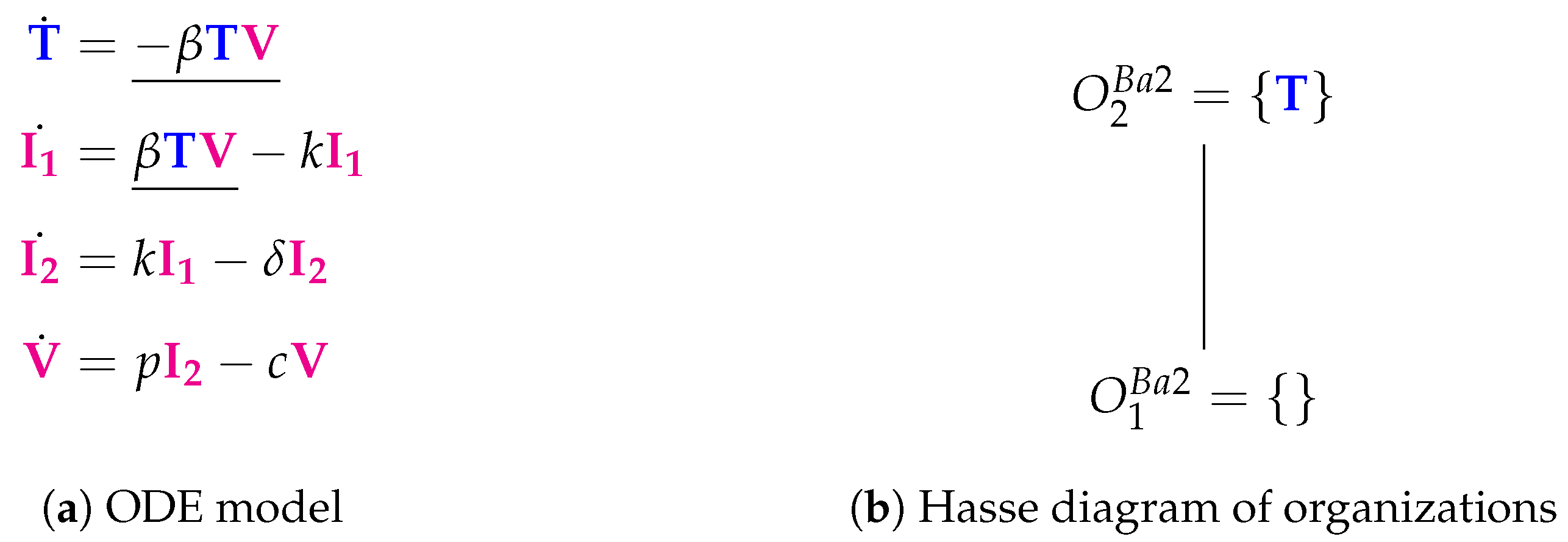 Viruses 11 00449 g004