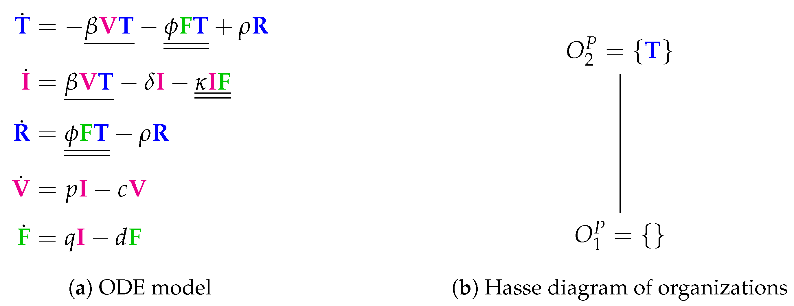 Viruses 11 00449 g005