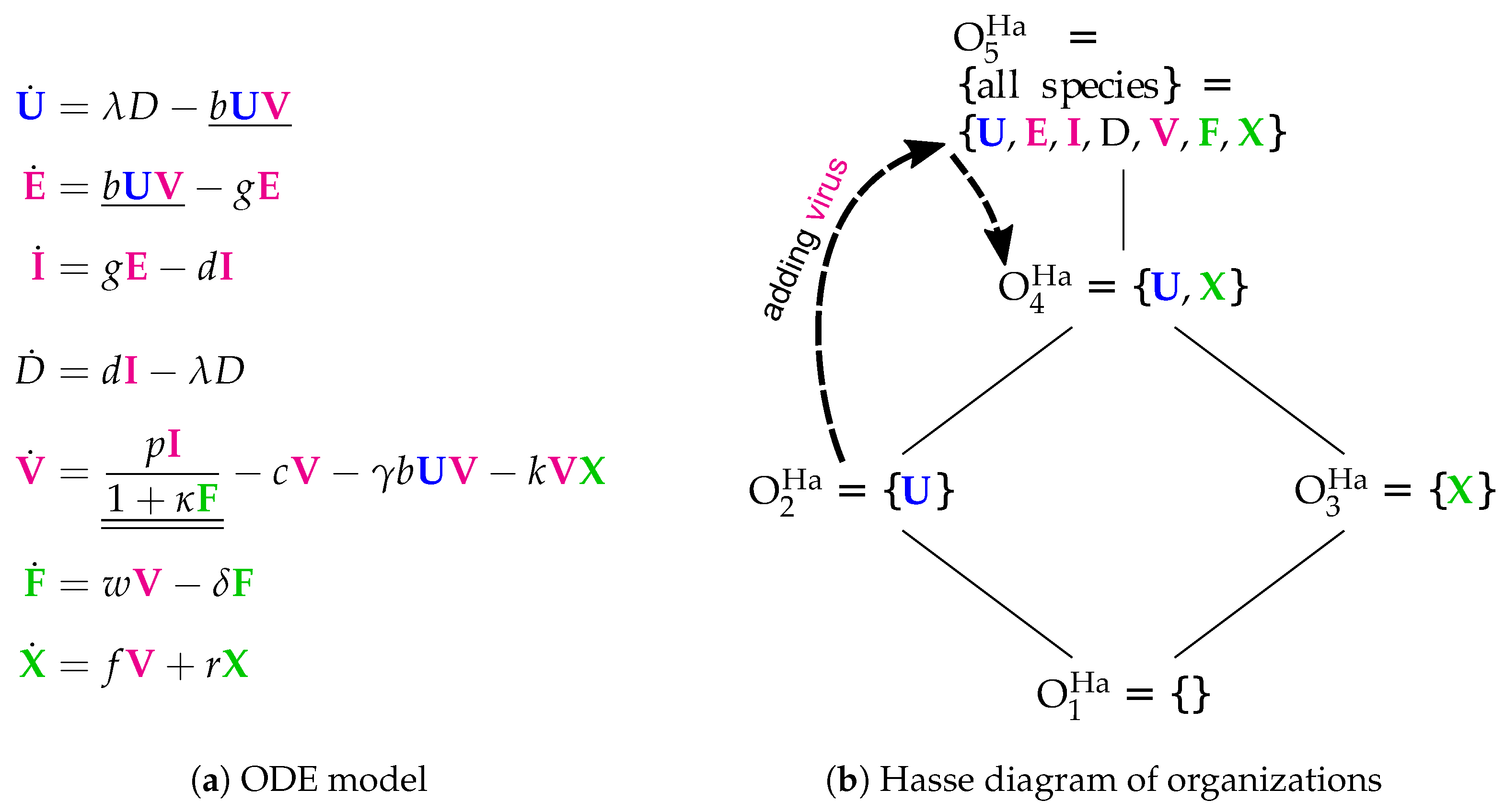 Viruses 11 00449 g007