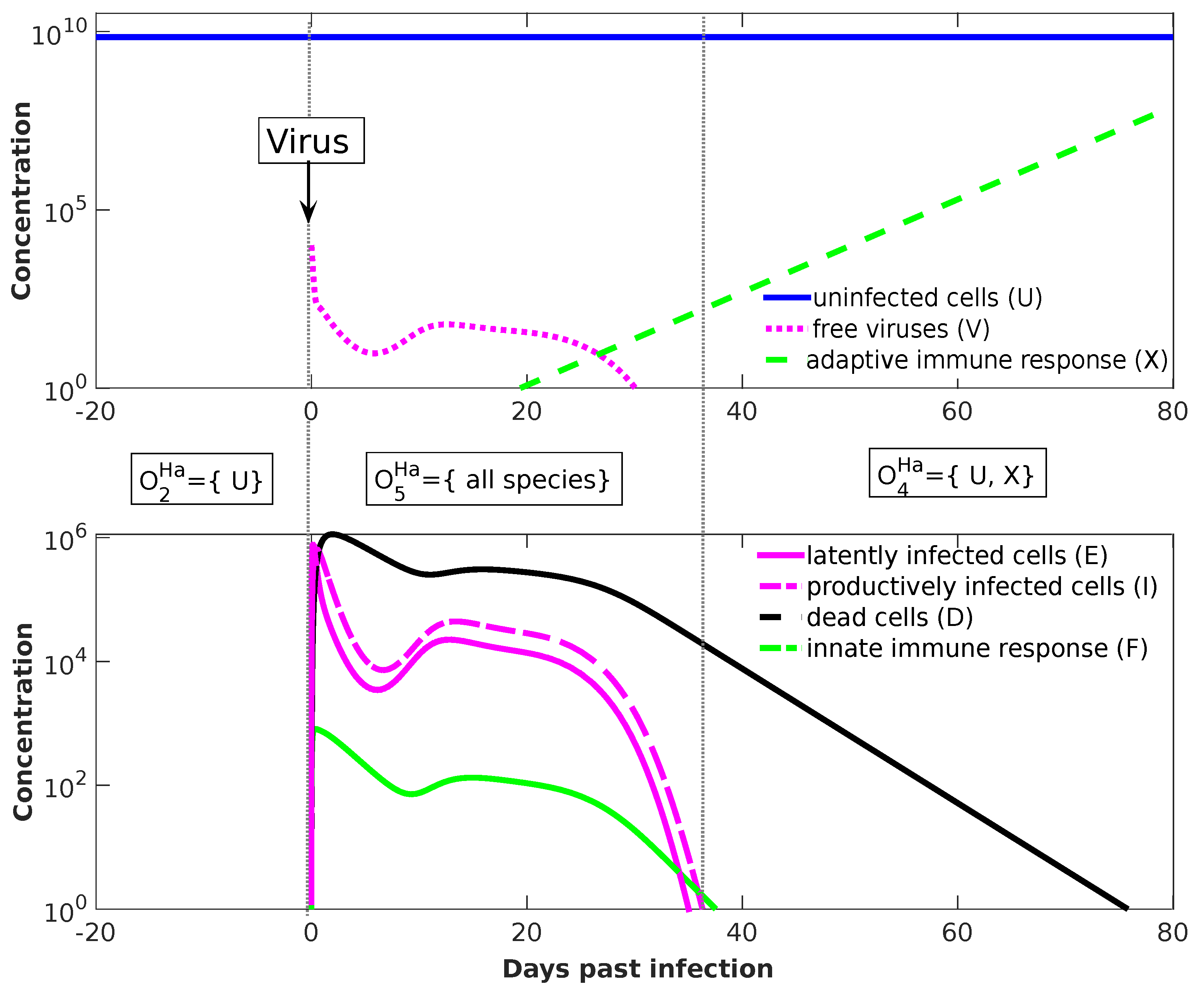 Viruses 11 00449 g008