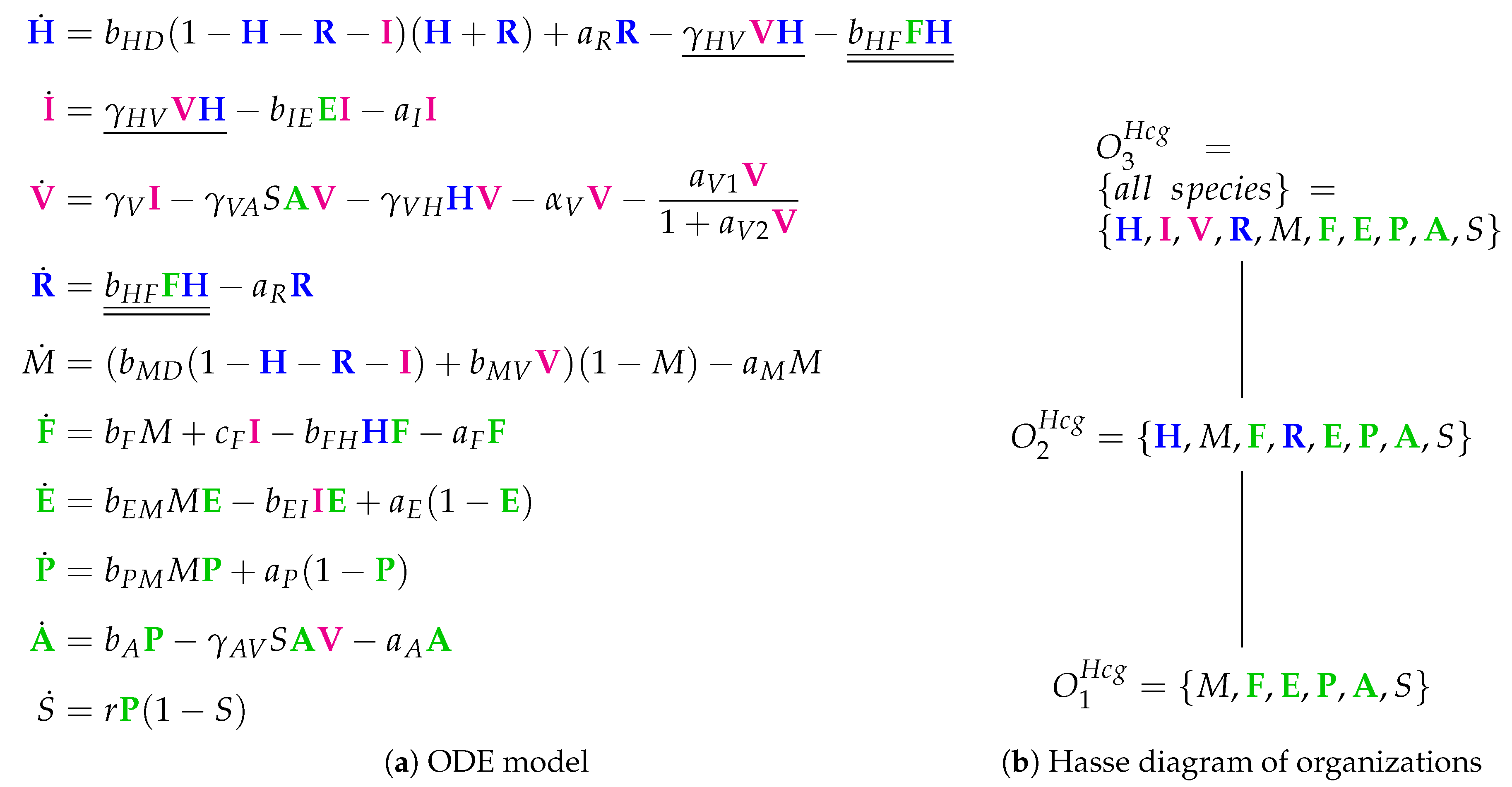 Viruses 11 00449 g012