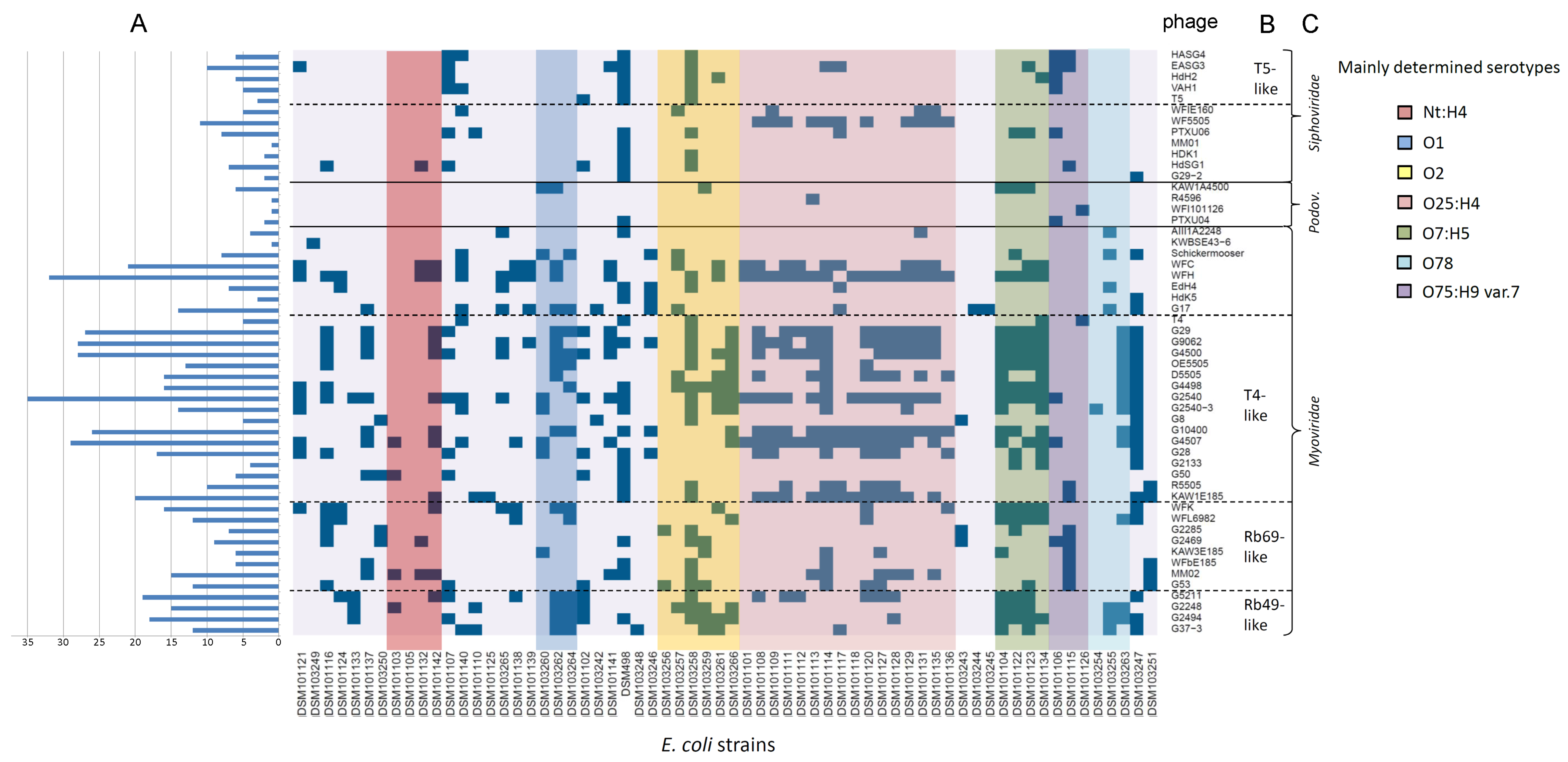 Viruses 11 00454 g004