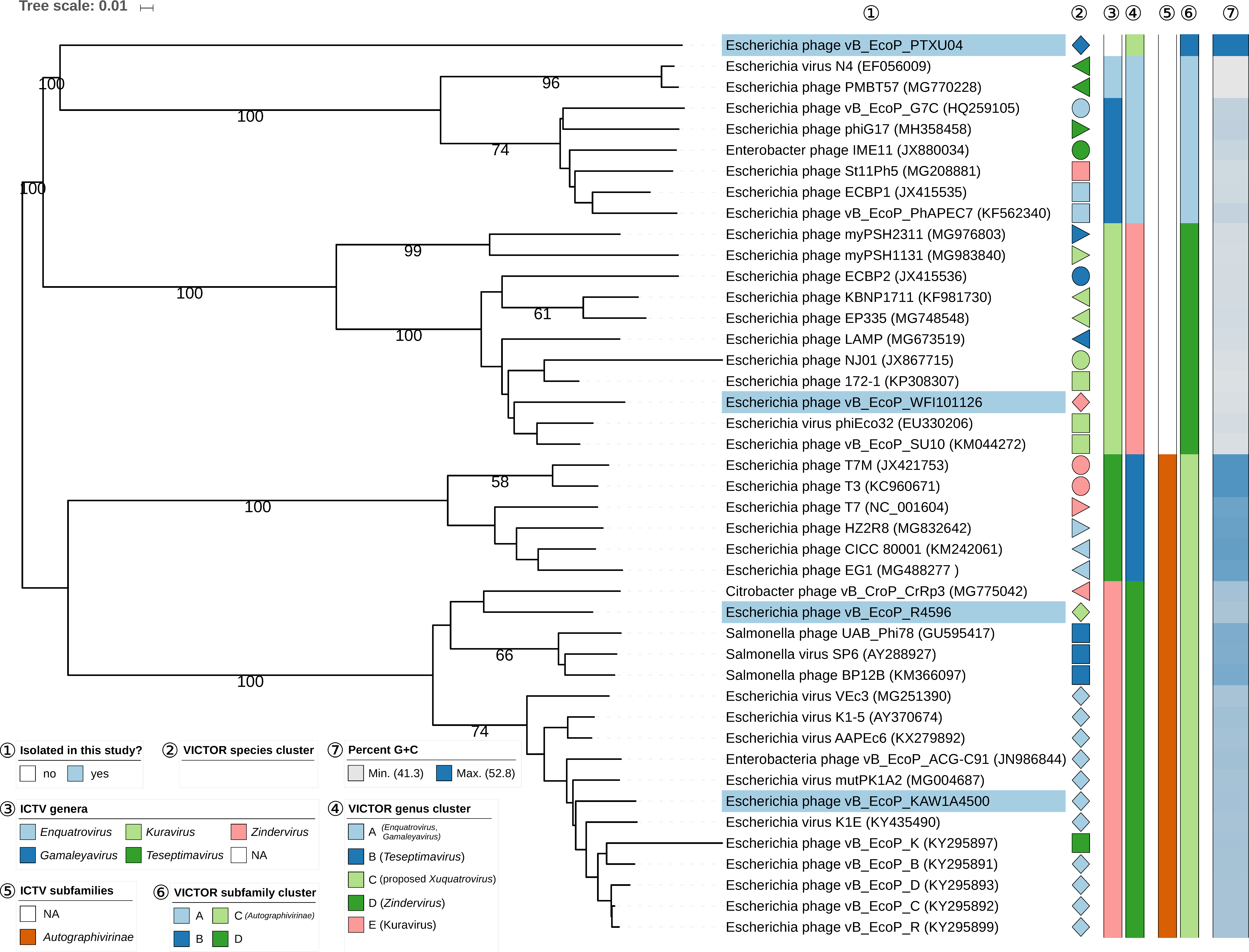 Viruses 11 00454 g005