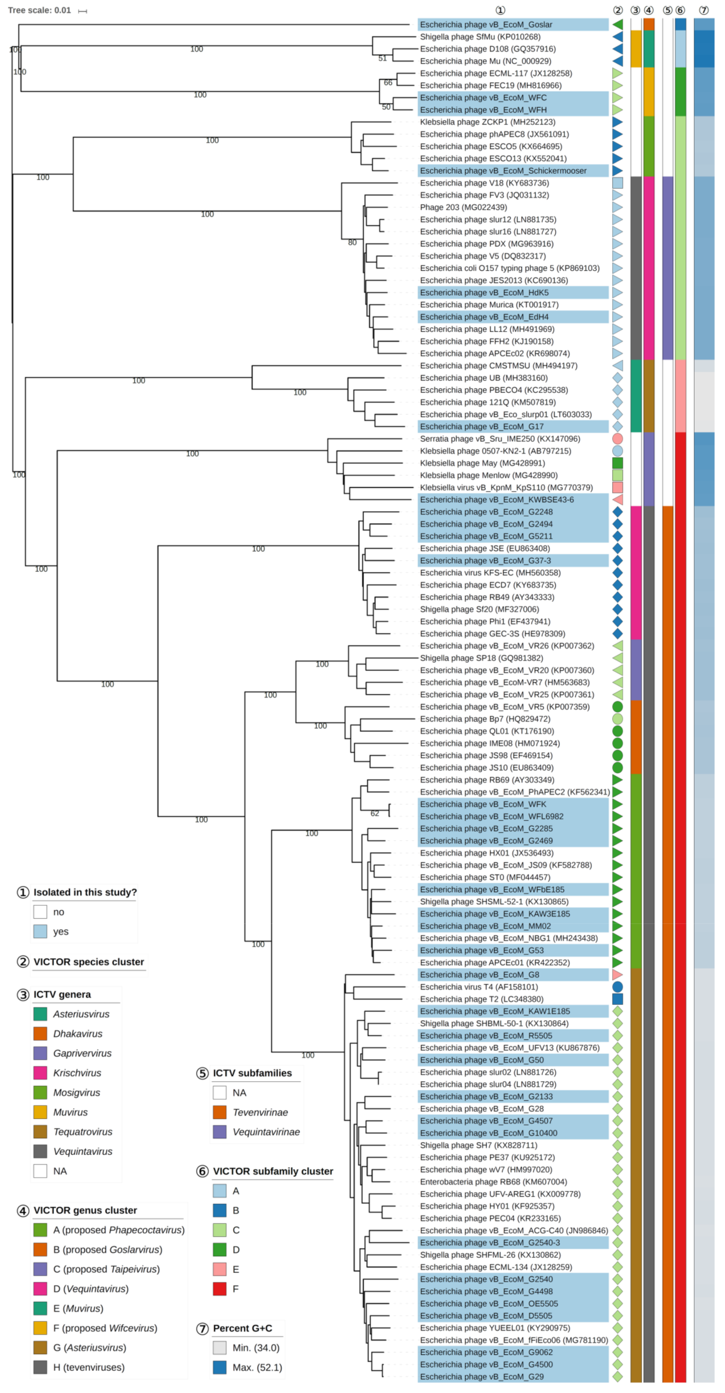 Viruses 11 00454 g007