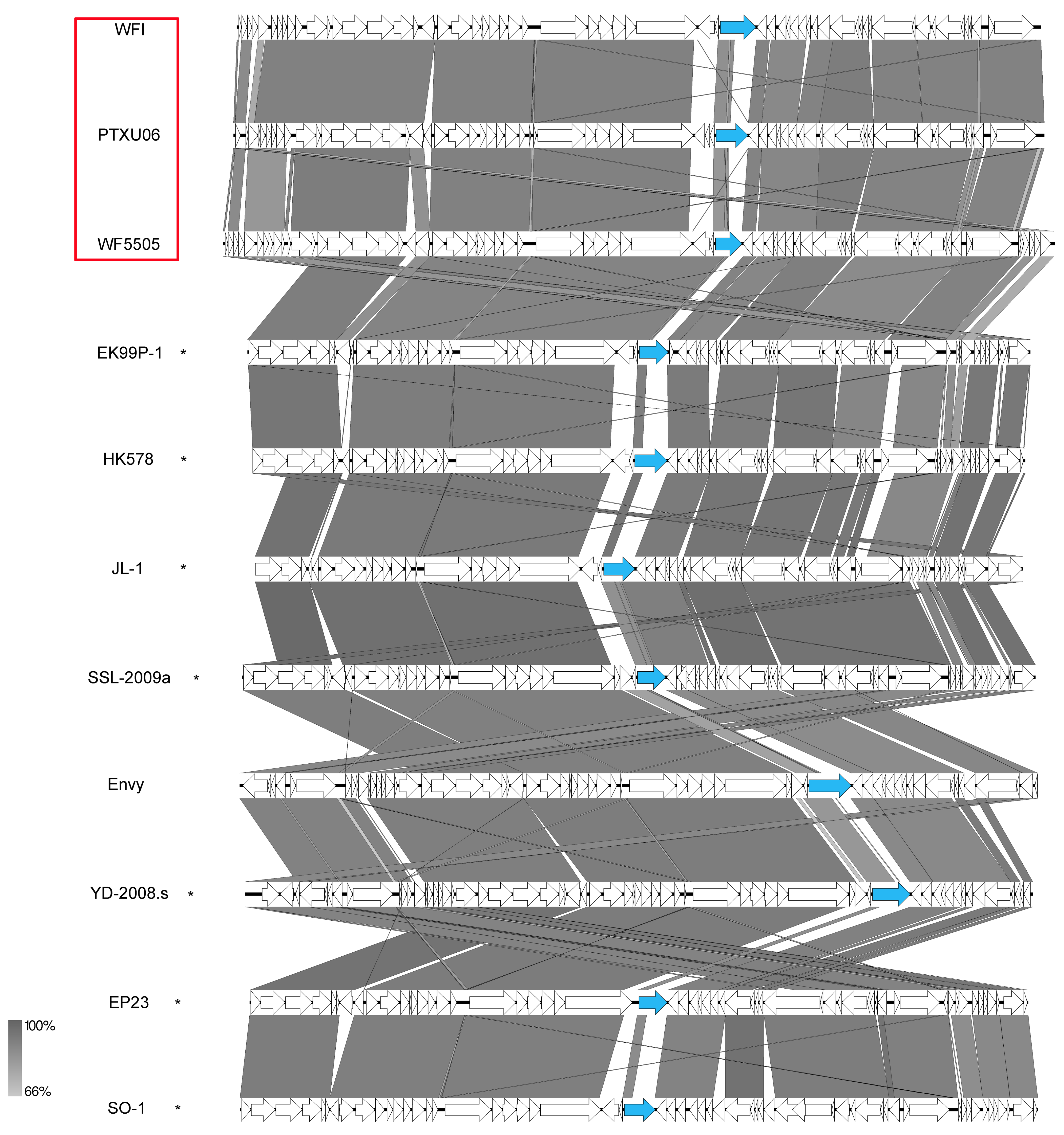 Viruses 11 00454 g015