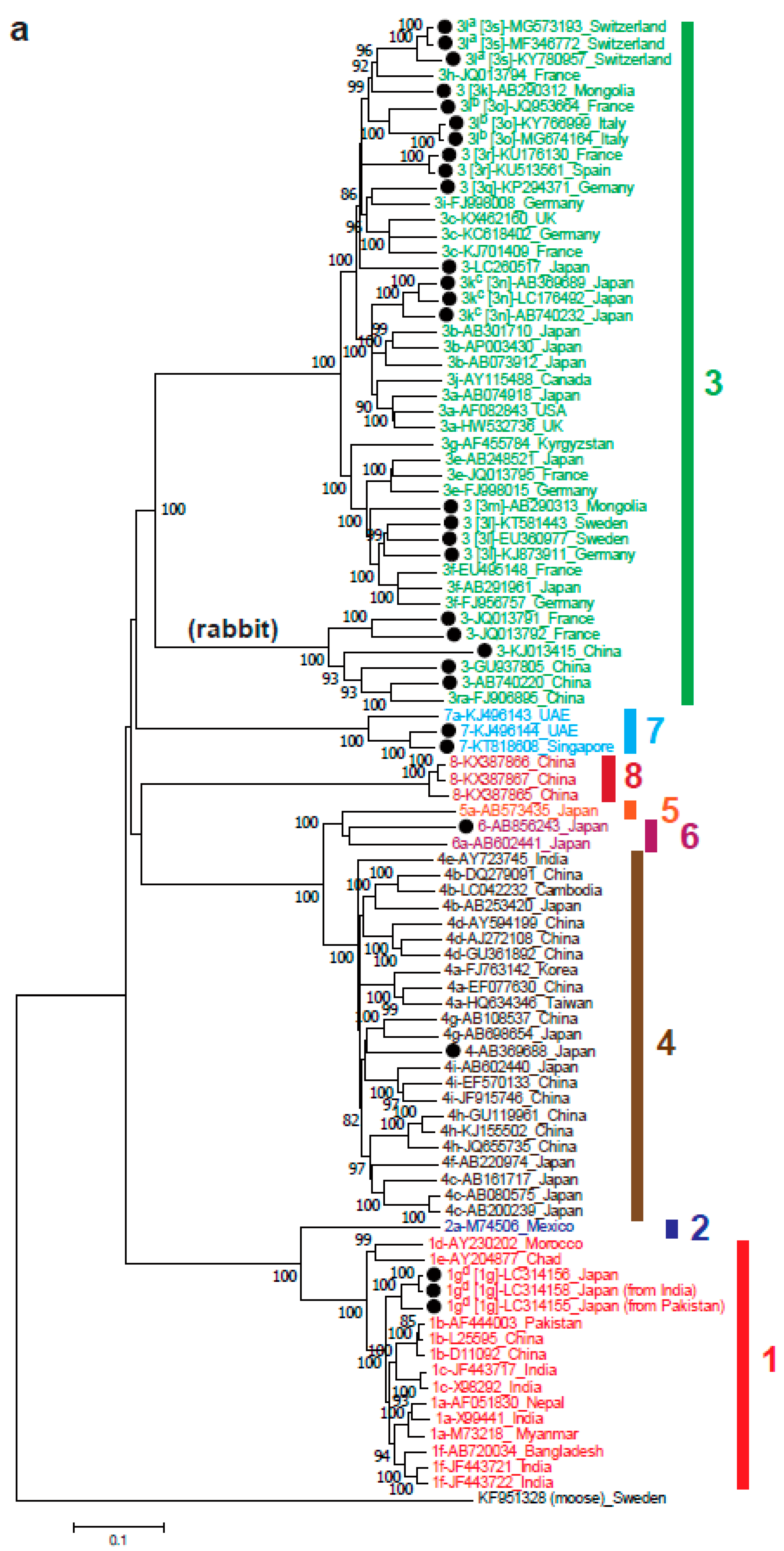 Viruses 11 00456 g002a Viruses 11 00456 g002a