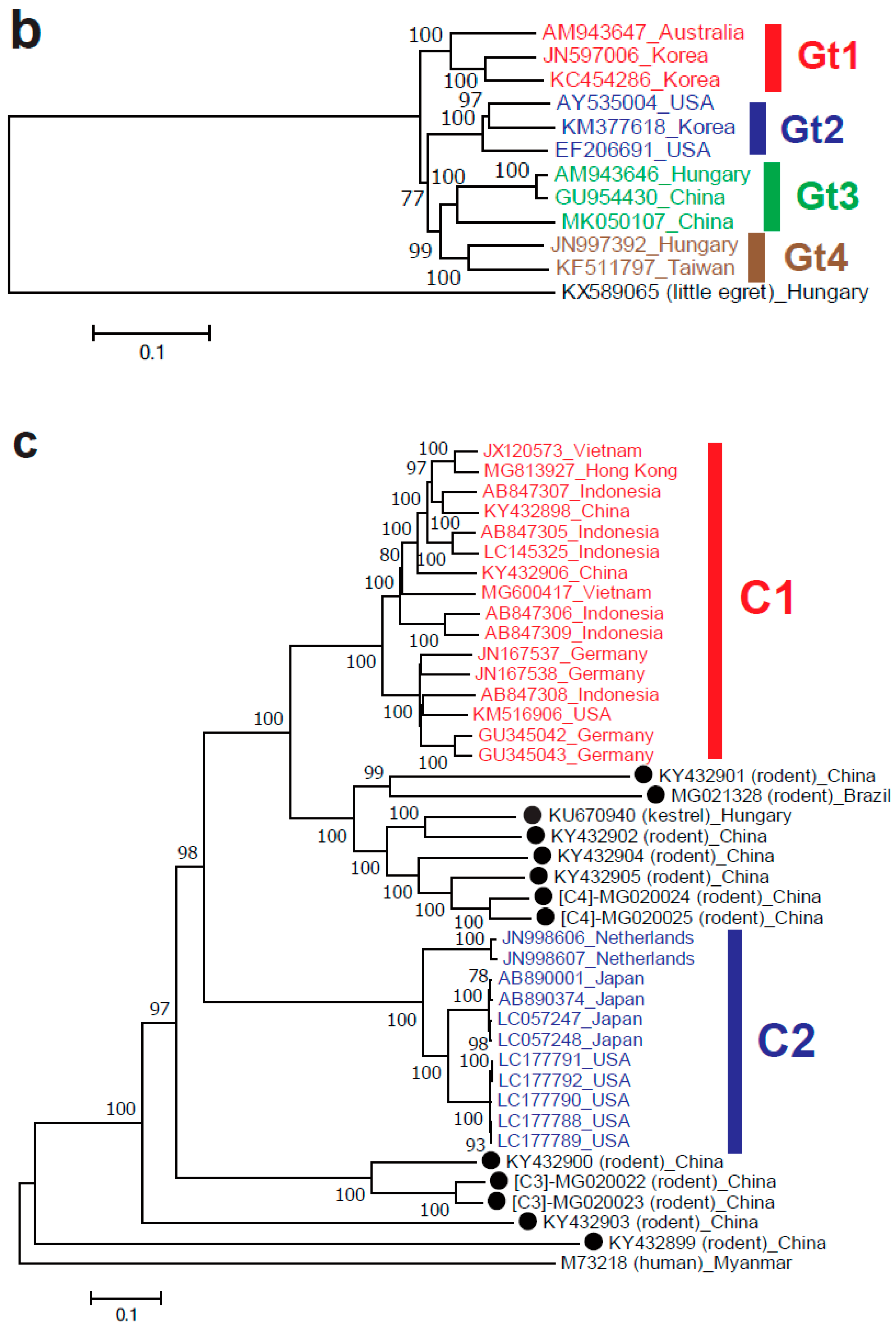 Viruses 11 00456 g002b Viruses 11 00456 g002b
