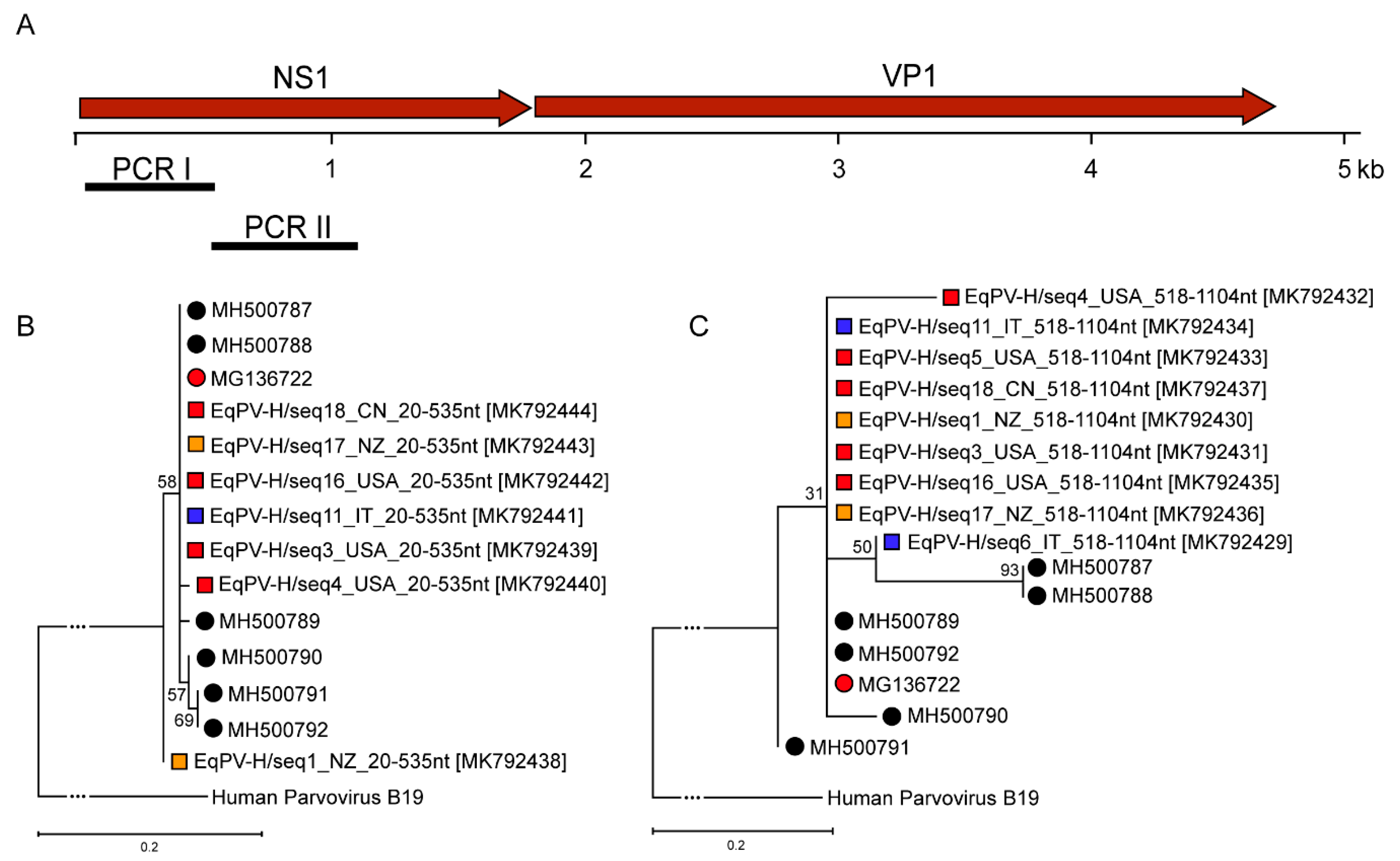 Viruses 11 00461 g003 Viruses 11 00461 g003